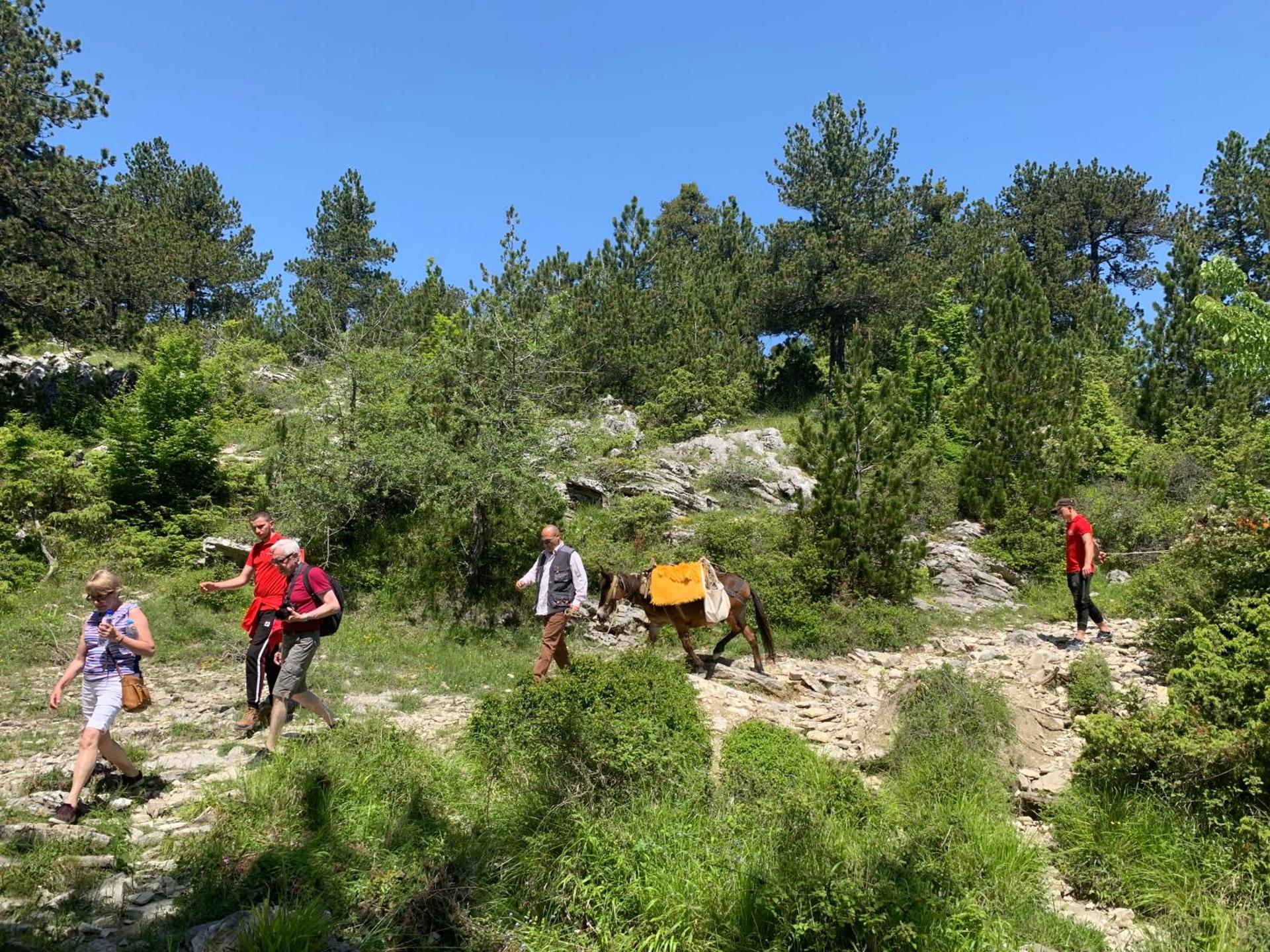 Hotel Castle Park - Photo 59