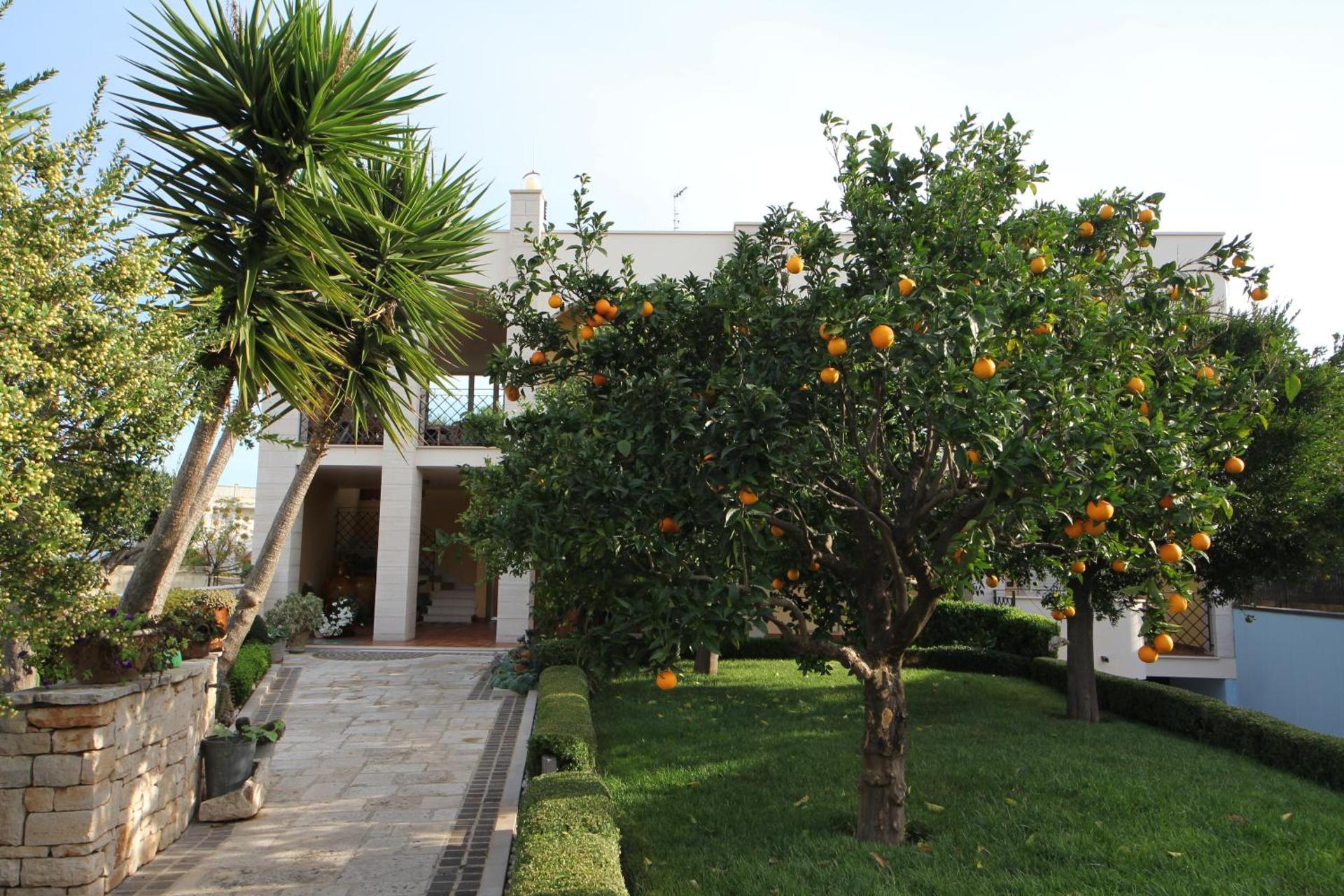 B&B La Rosa Blu - Photo 135