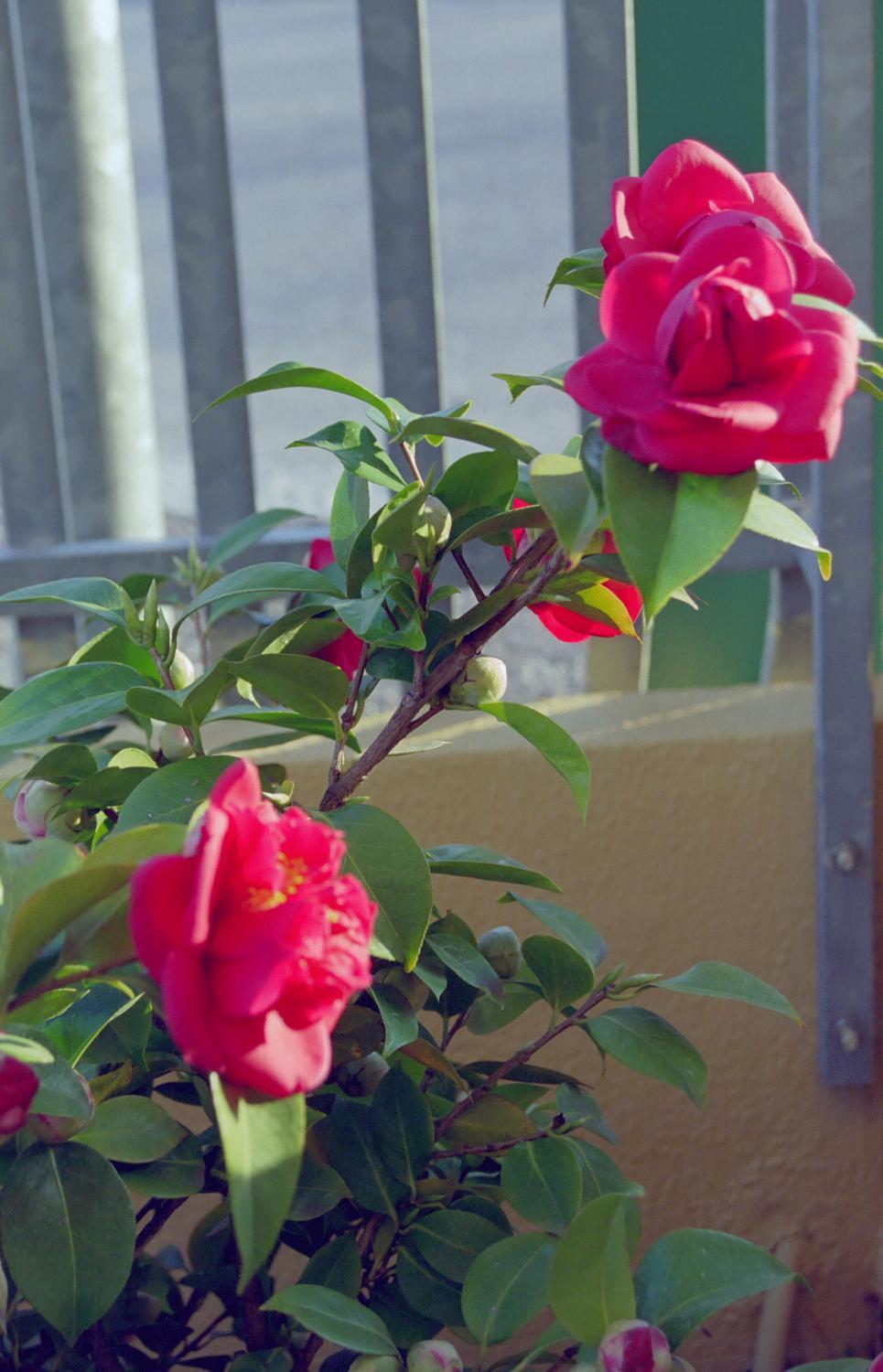 Residence Viale Venezia - Photo 20