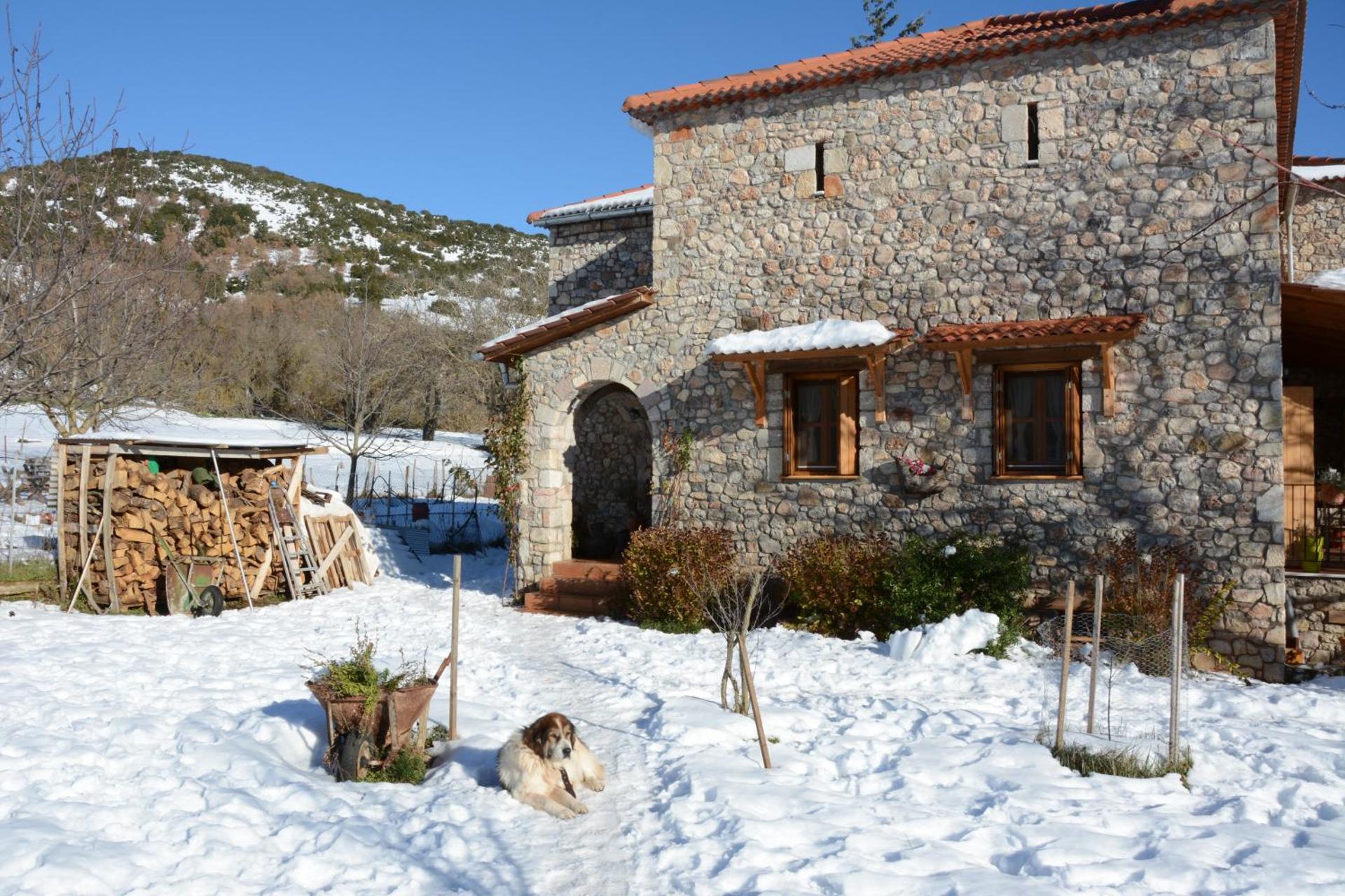 Country Stone House ,next to Kalavrita - Photo 36