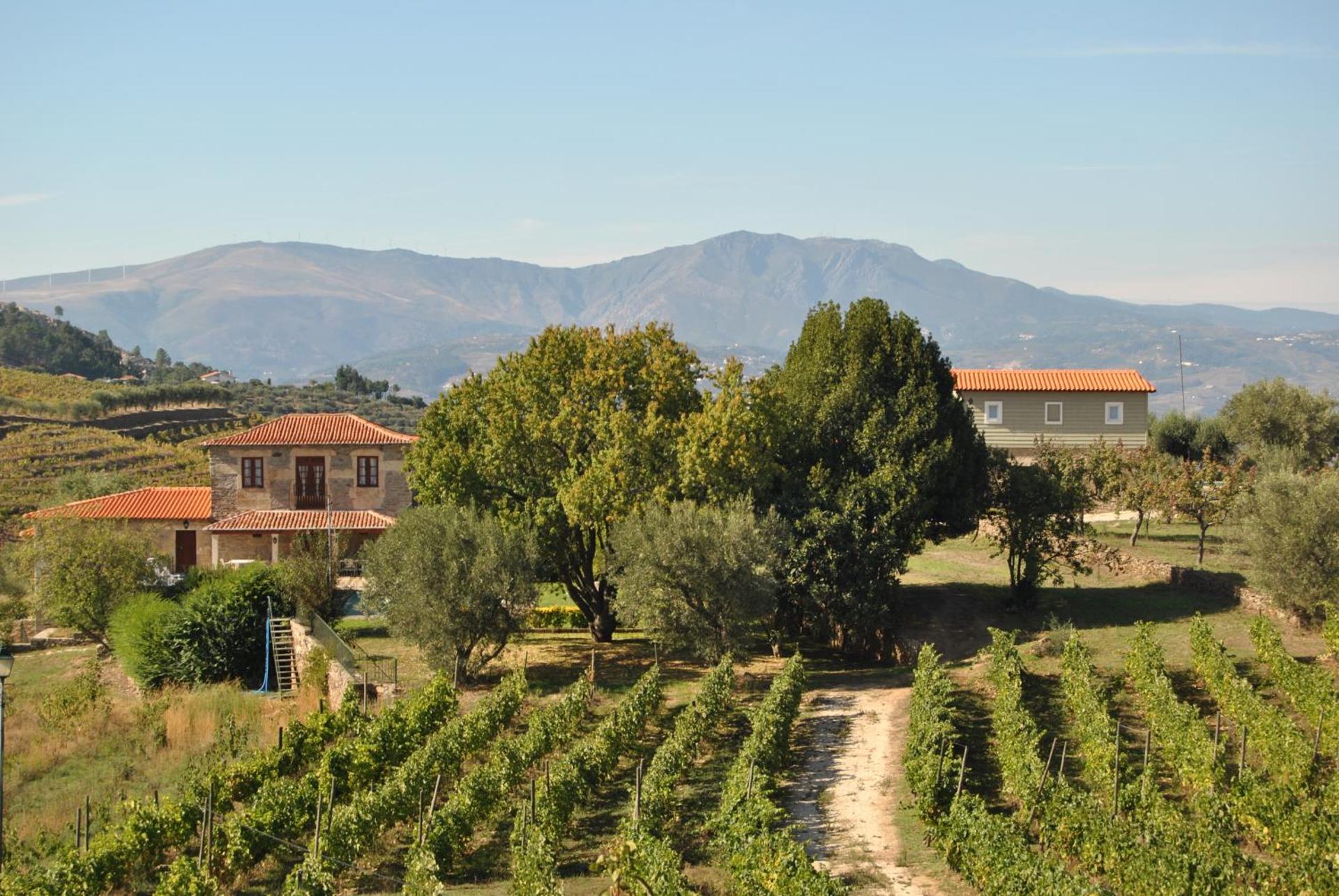 Casa de Sao Miguel Douro - Photo 77