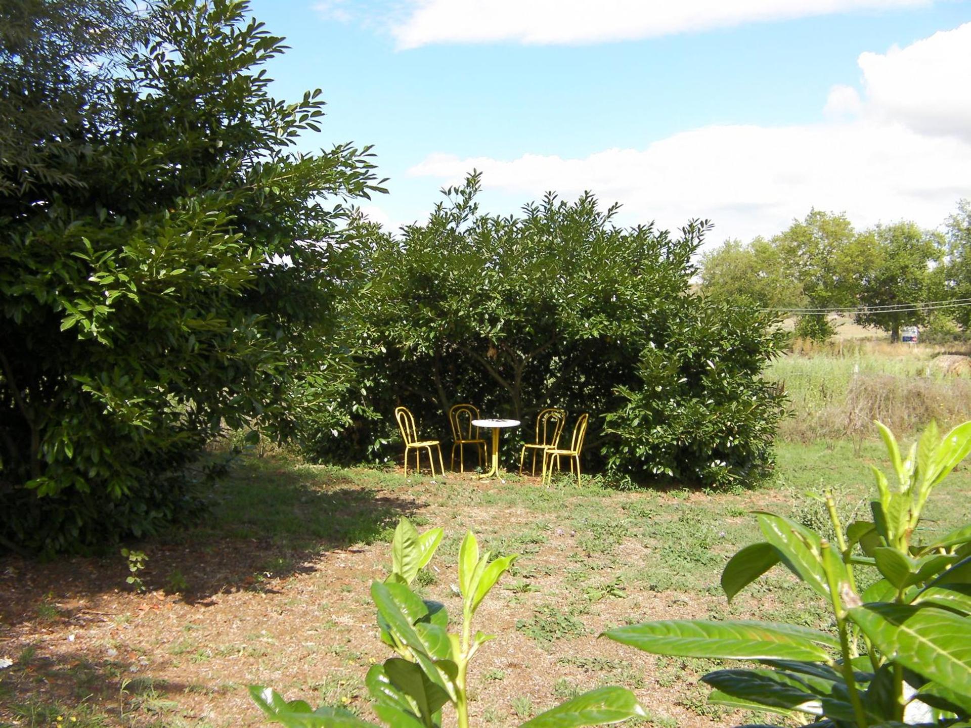 Etruria Life - Photo 36