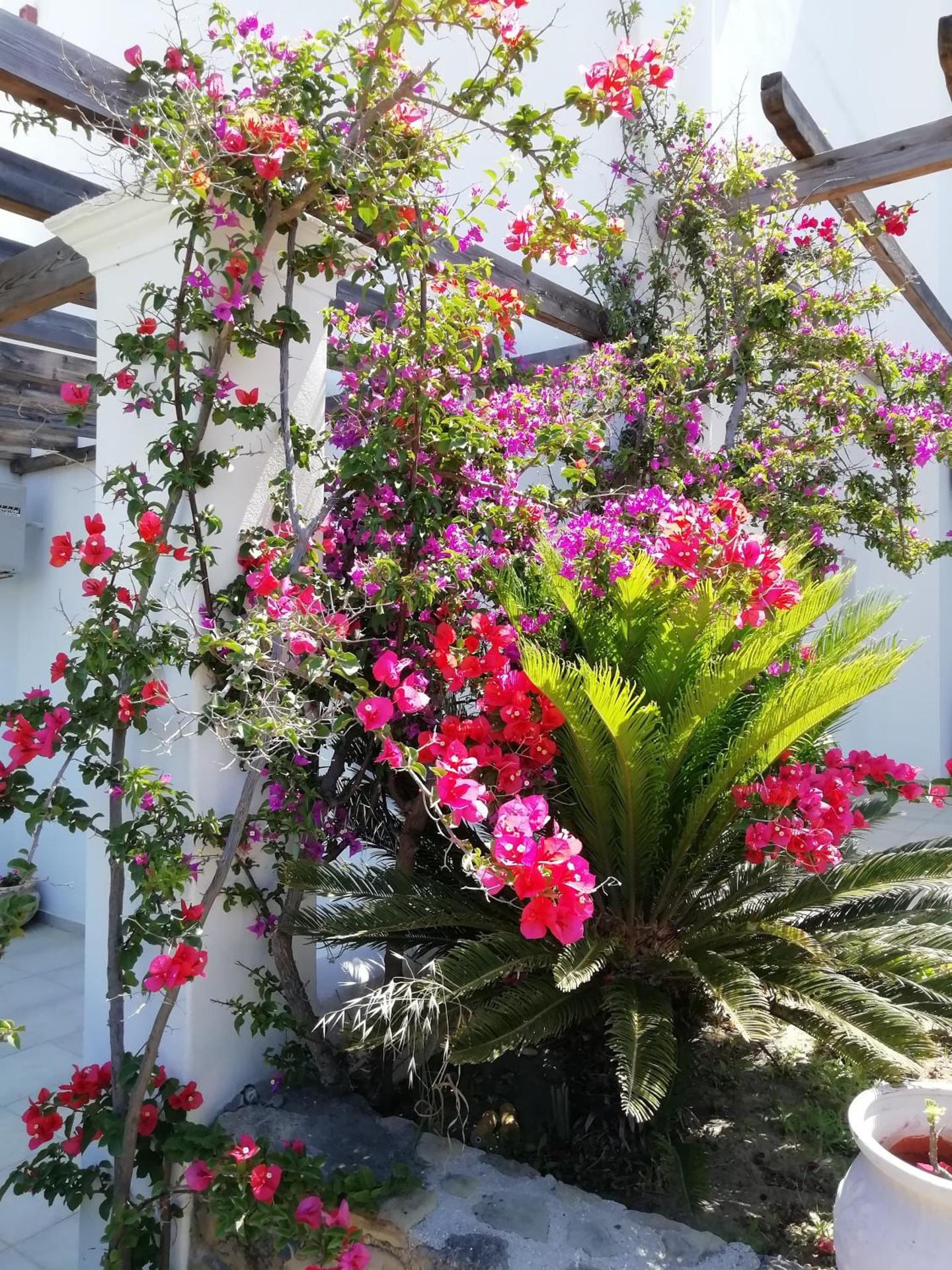 Vina Beach Hotel - Photo 33
