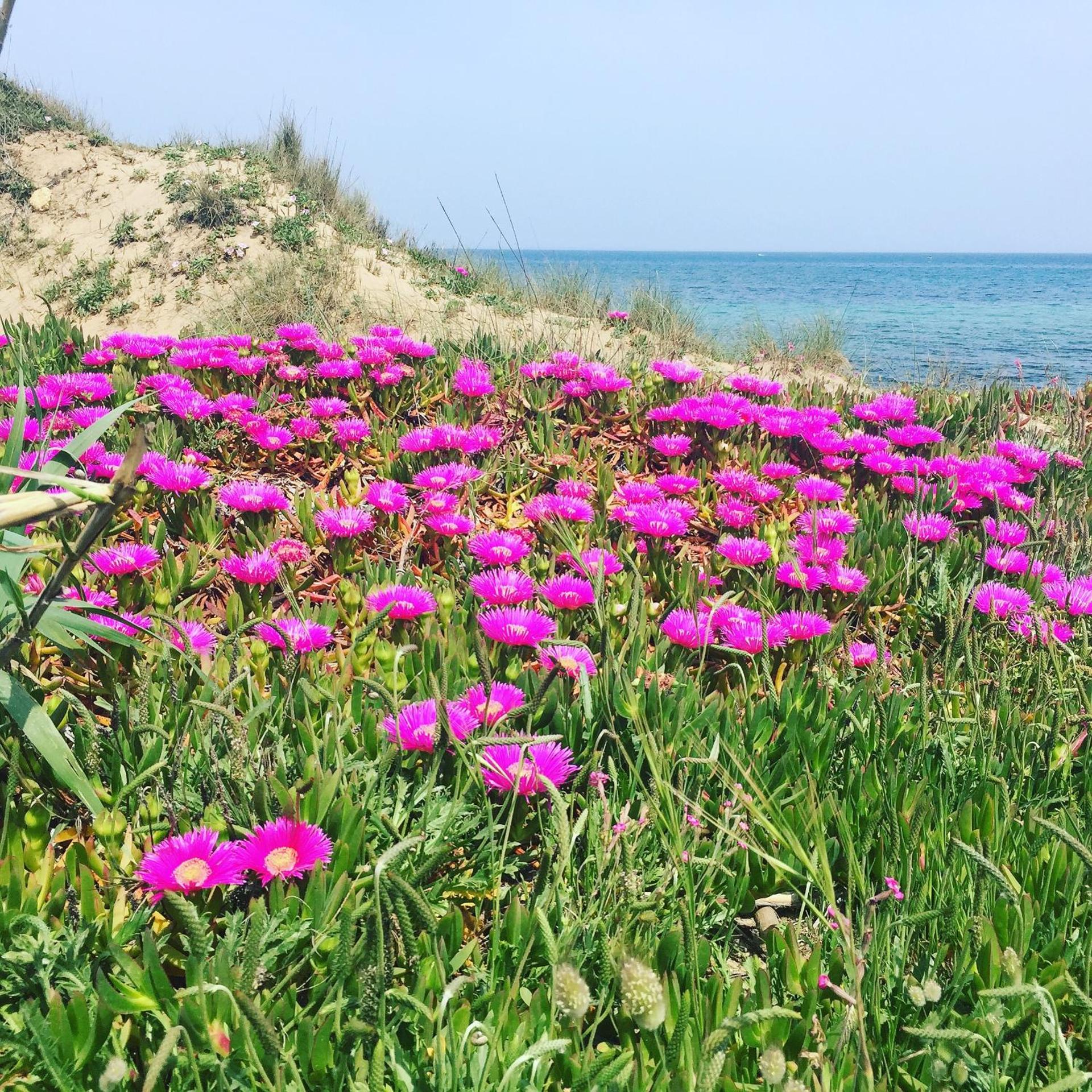 Salento Appartamenti - Photo 77