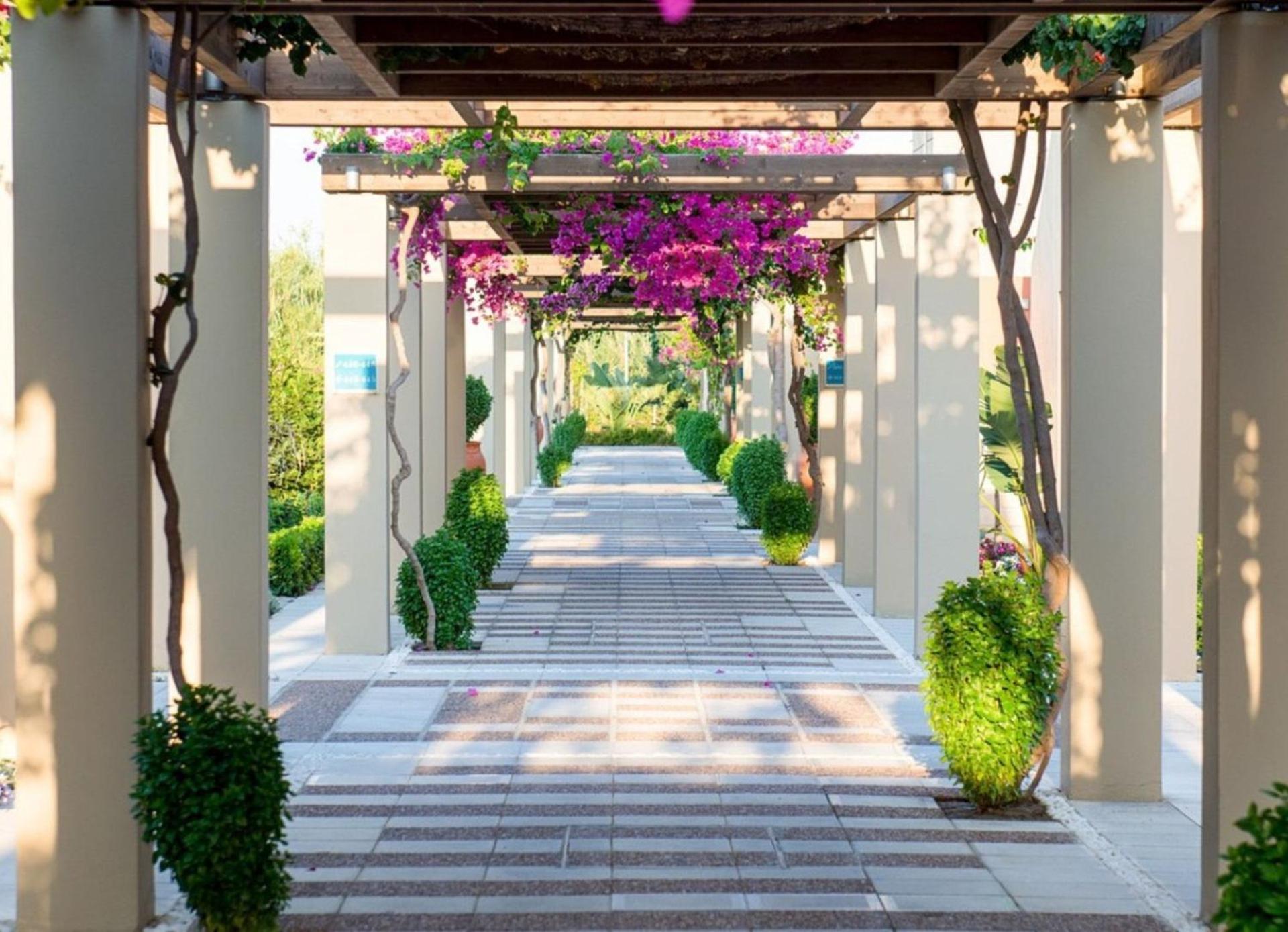 Astir Odysseus Kos Resort and Spa - Photo 243