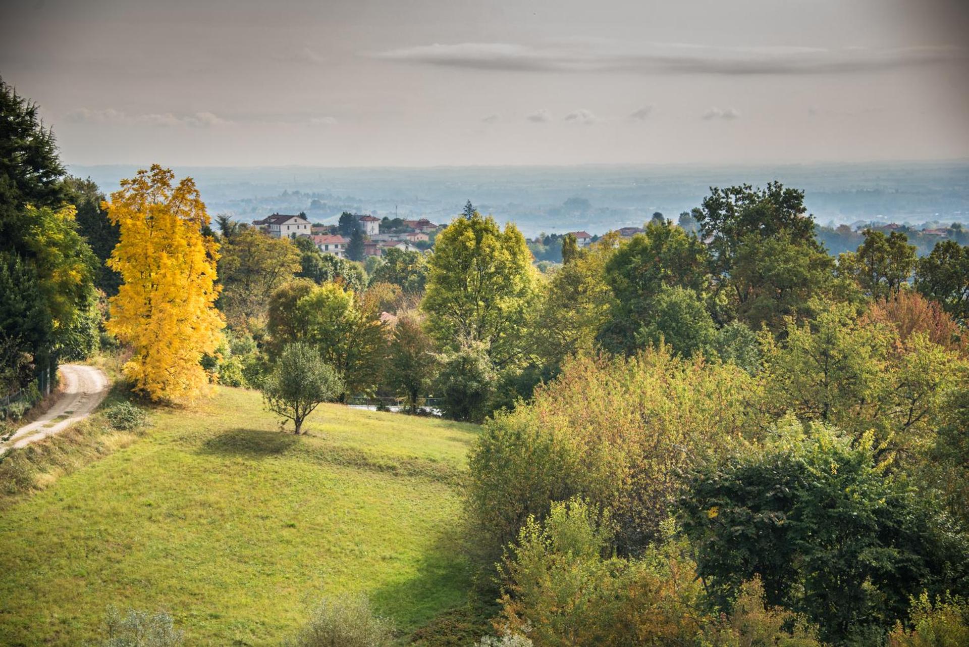 Agriturismo "La Collina" - 15km dal centro di Torino - Photo 30