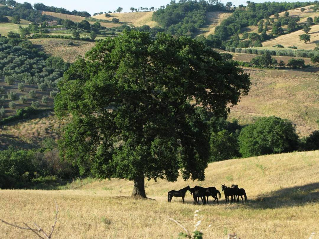 Le Murelle Country Resort - Photo 8