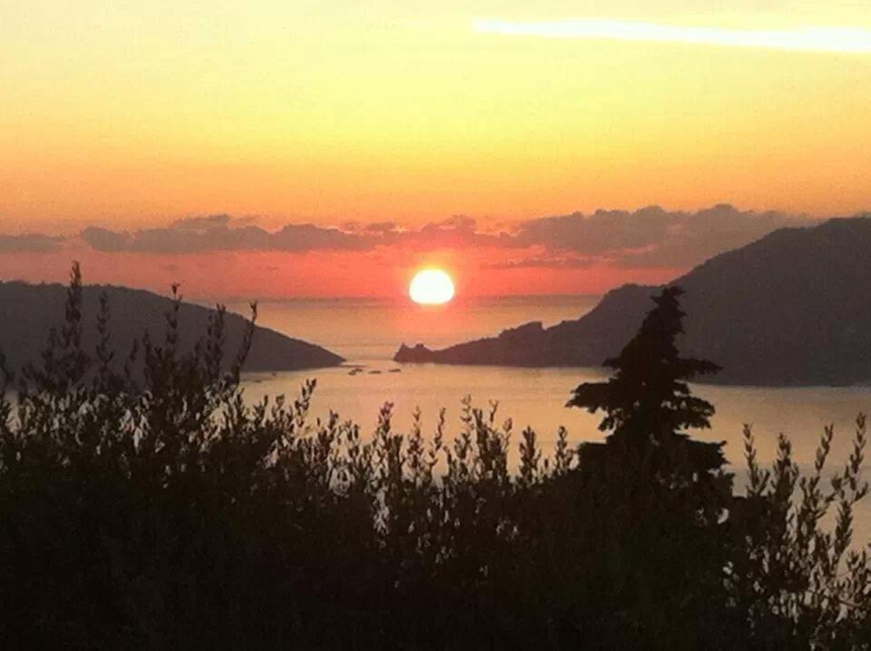 Hotel Del Golfo - Photo 4