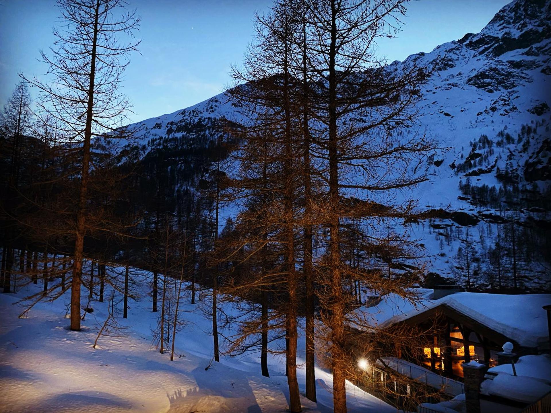 Les Neiges D'Antan - Photo 16