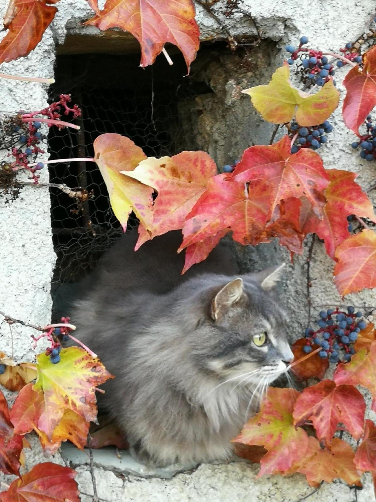 Casale Maria Mafalda - Photo 35