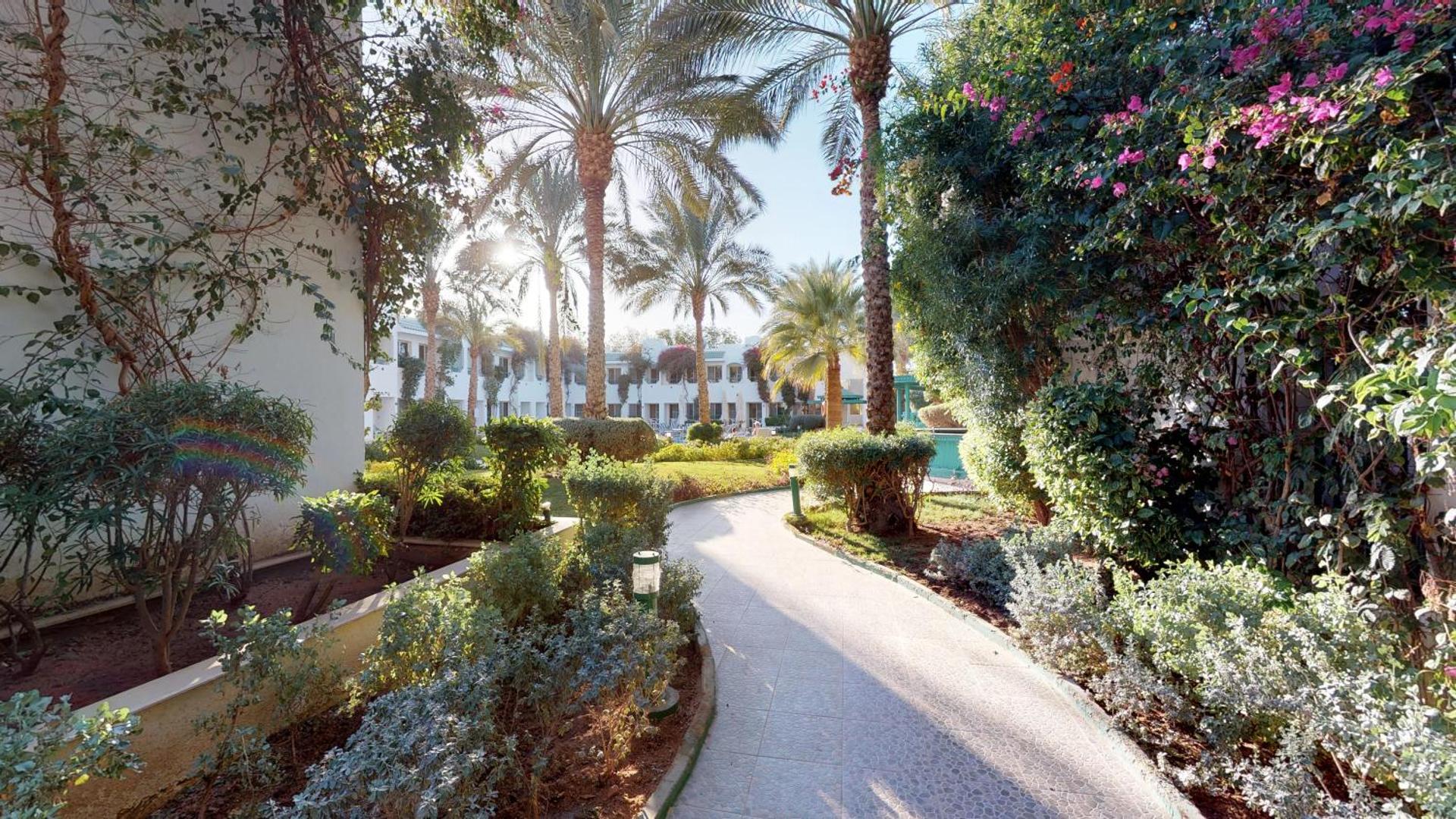 Falcon Hills Hotel - Photo 23