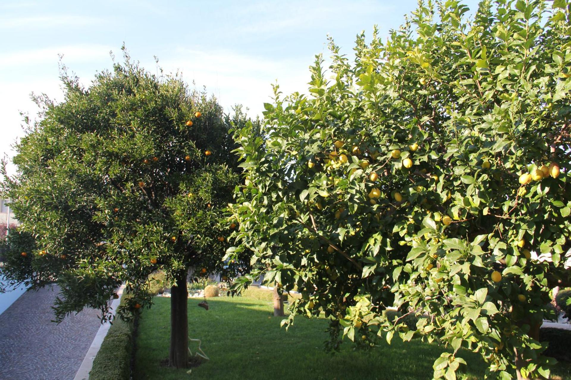 B&B La Rosa Blu - Photo 121