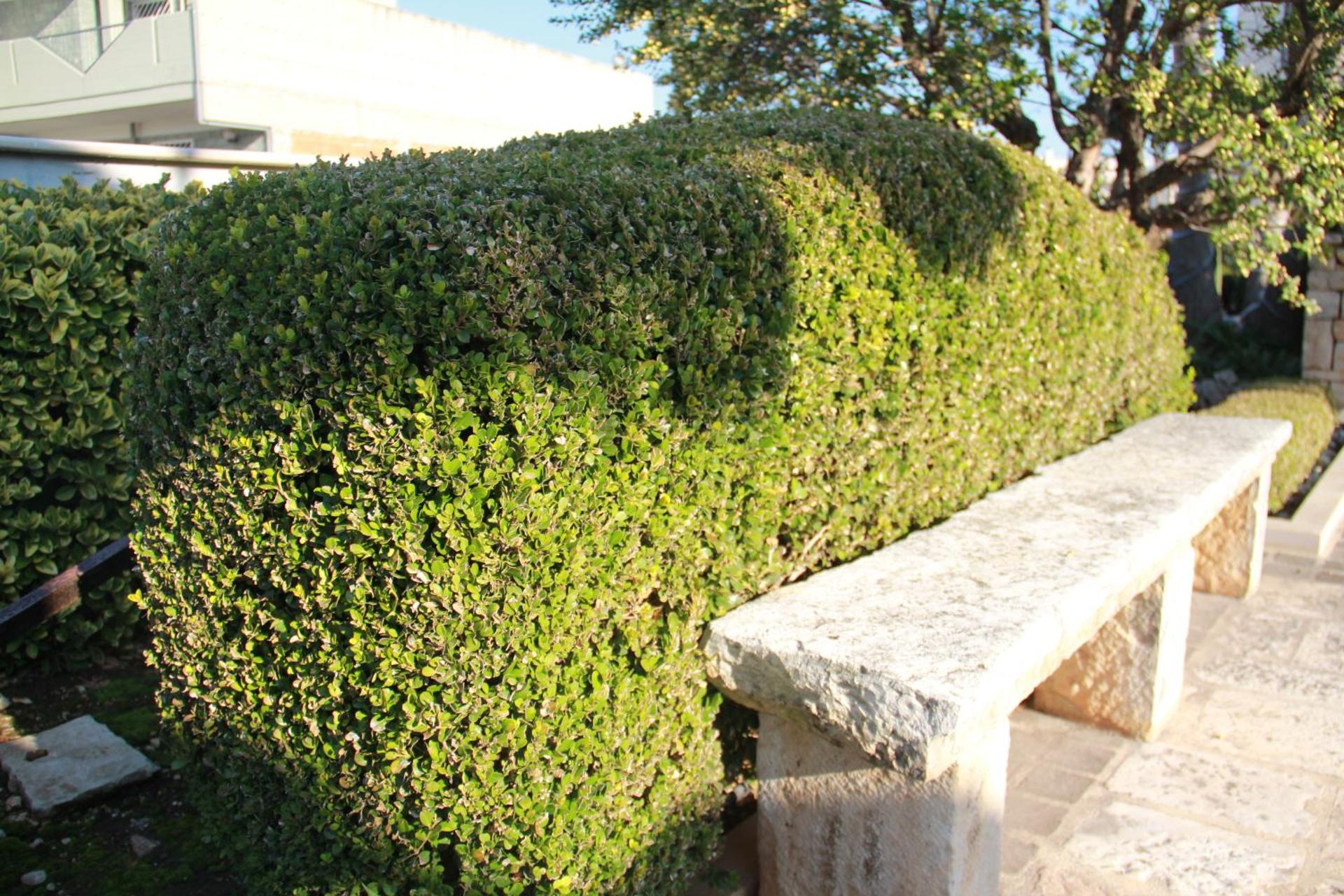 B&B La Rosa Blu - Photo 118