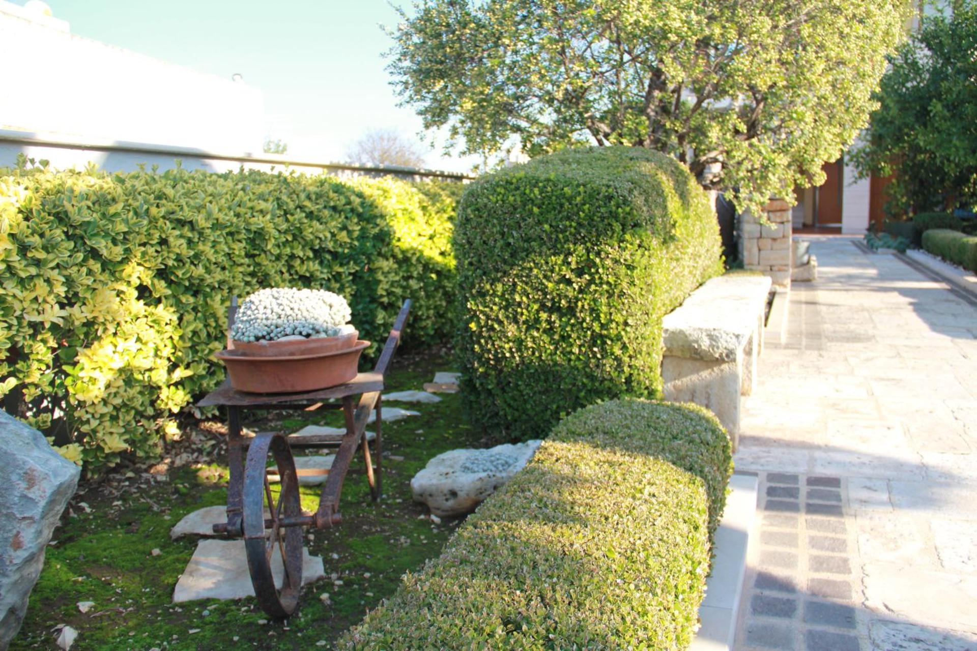 B&B La Rosa Blu - Photo 145