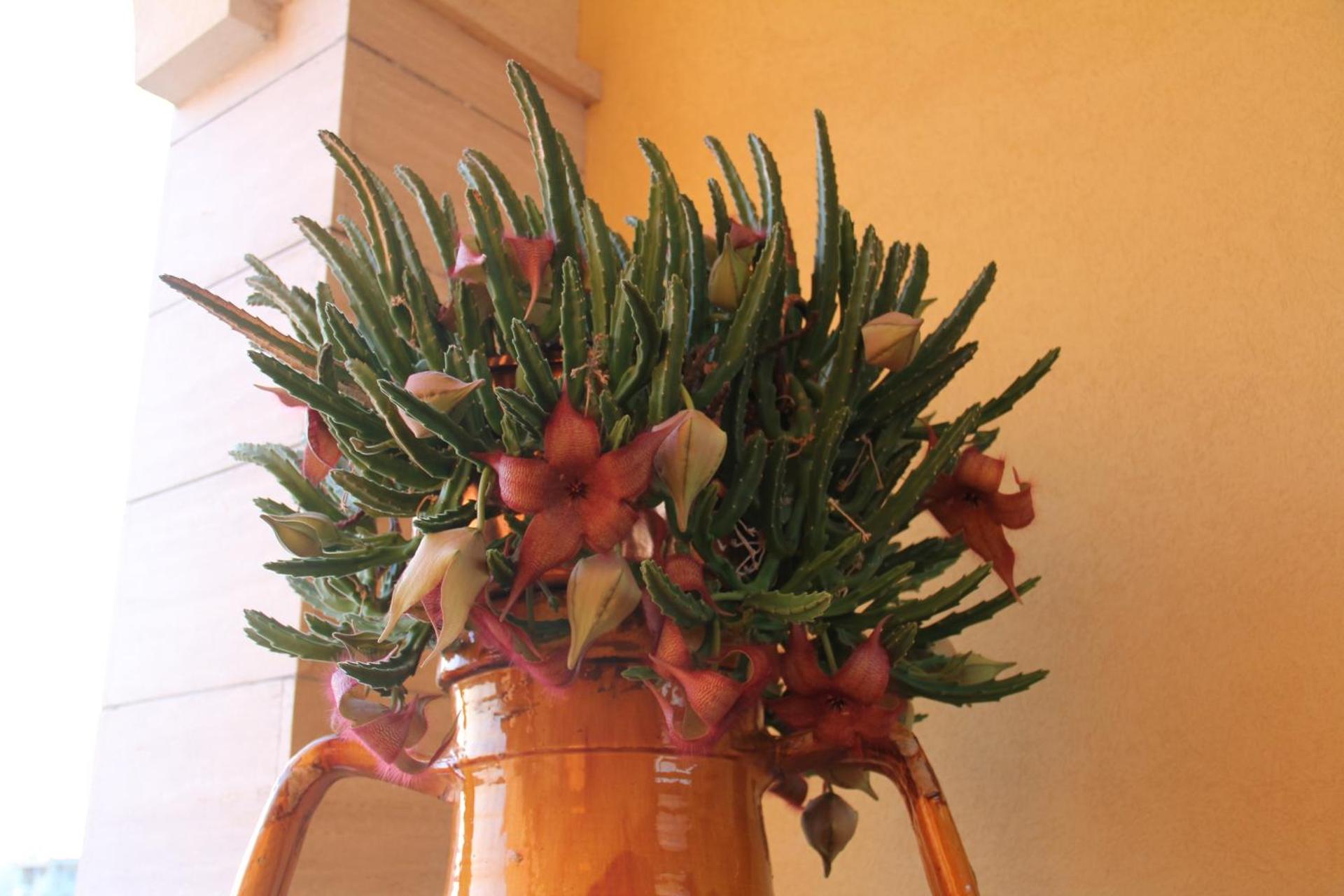 B&B La Rosa Blu - Photo 166