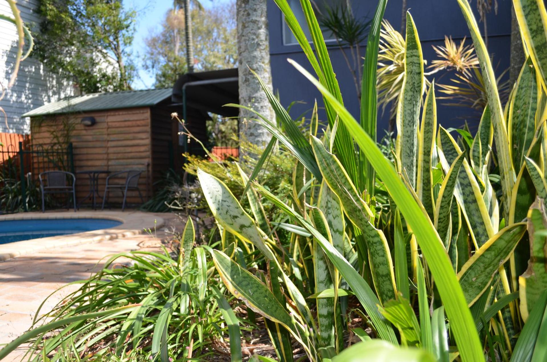 Airport Motel Brisbane - Photo 21