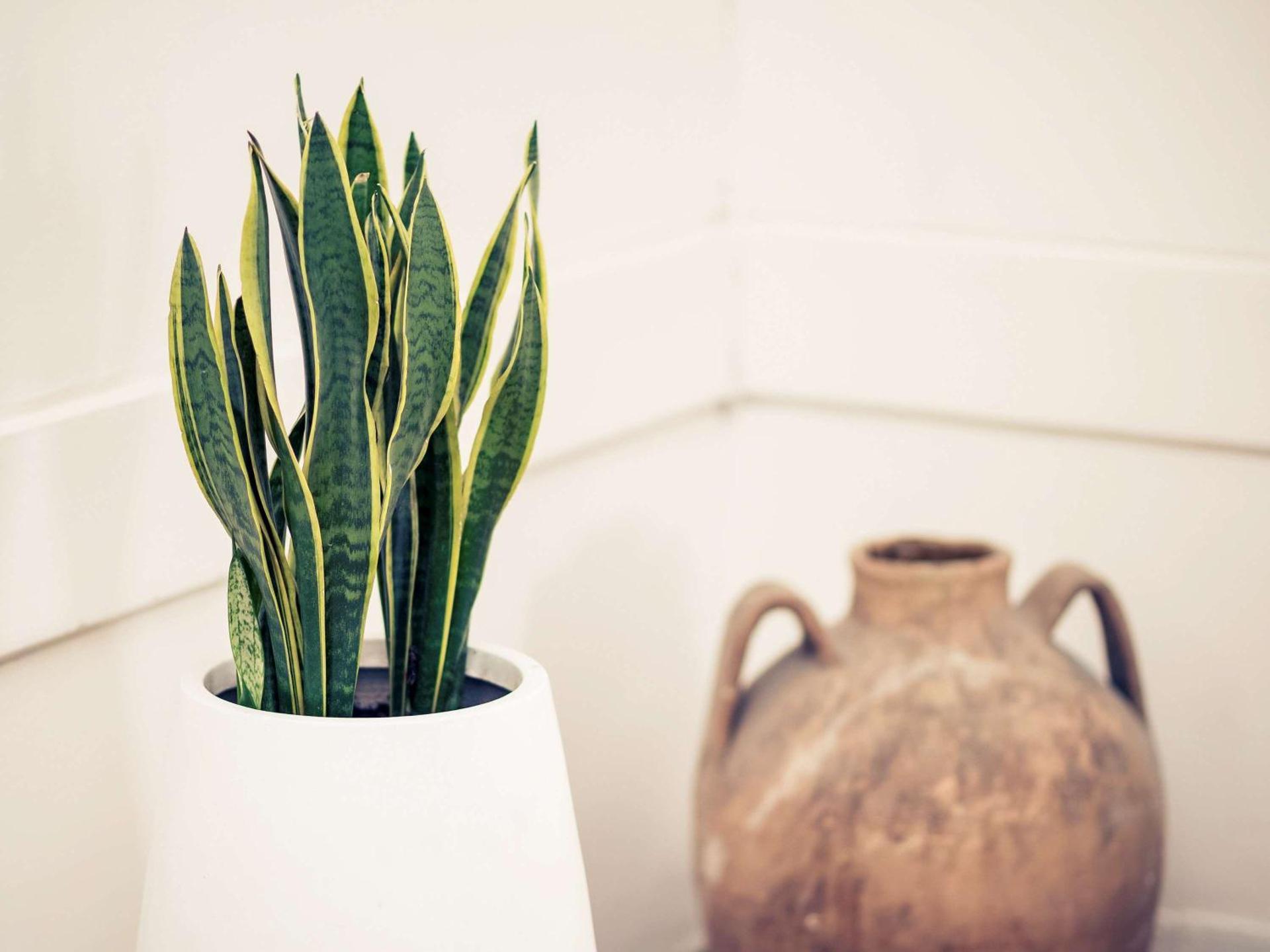 Sunbay Park Hotel - Photo 25