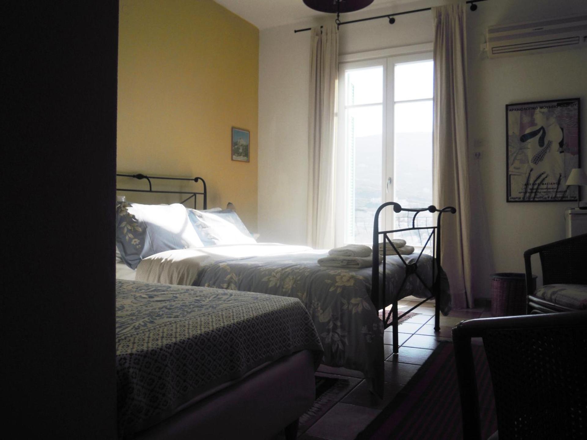 Blue Dolphin - Photo 3