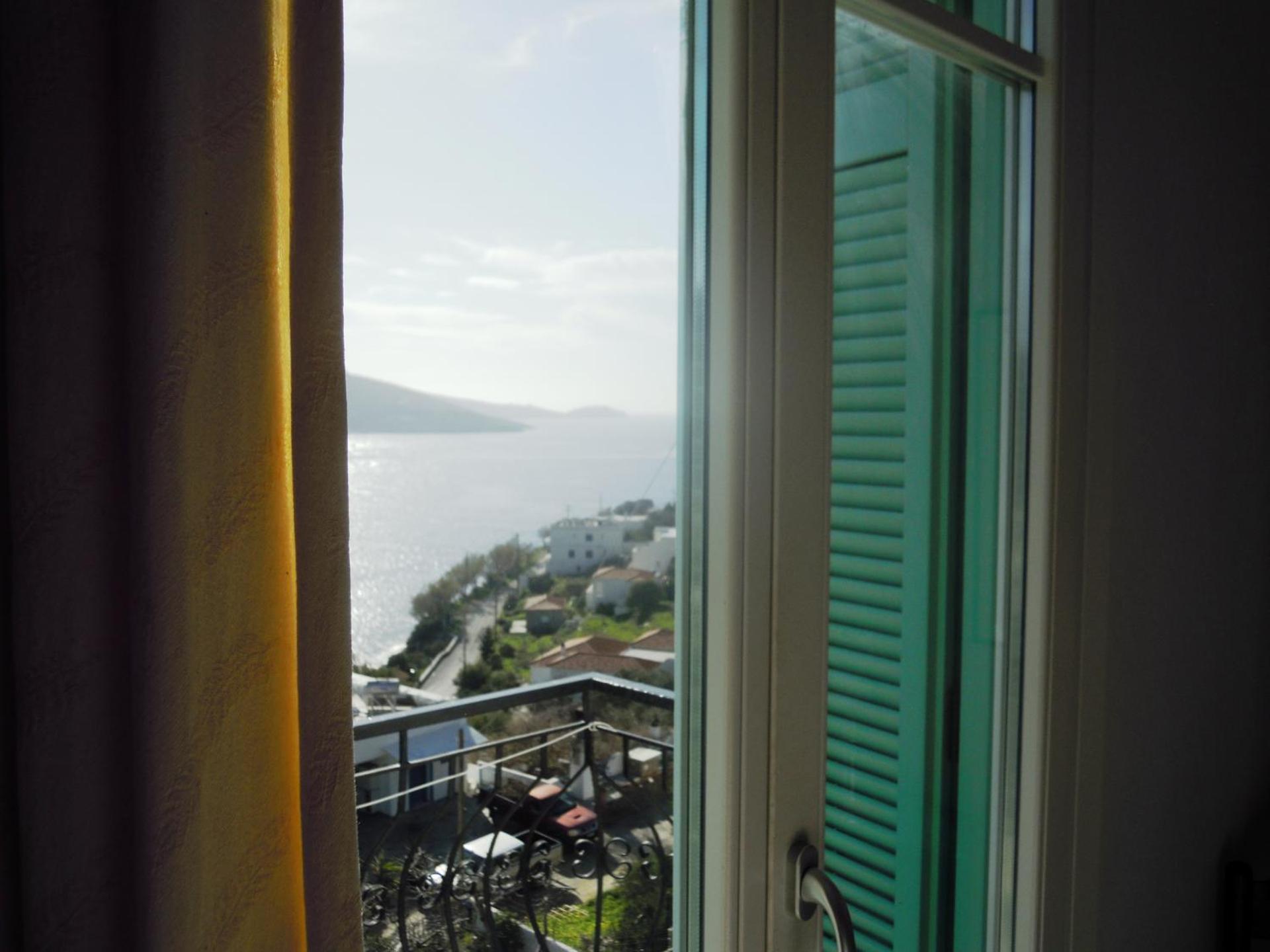 Blue Dolphin - Photo 29