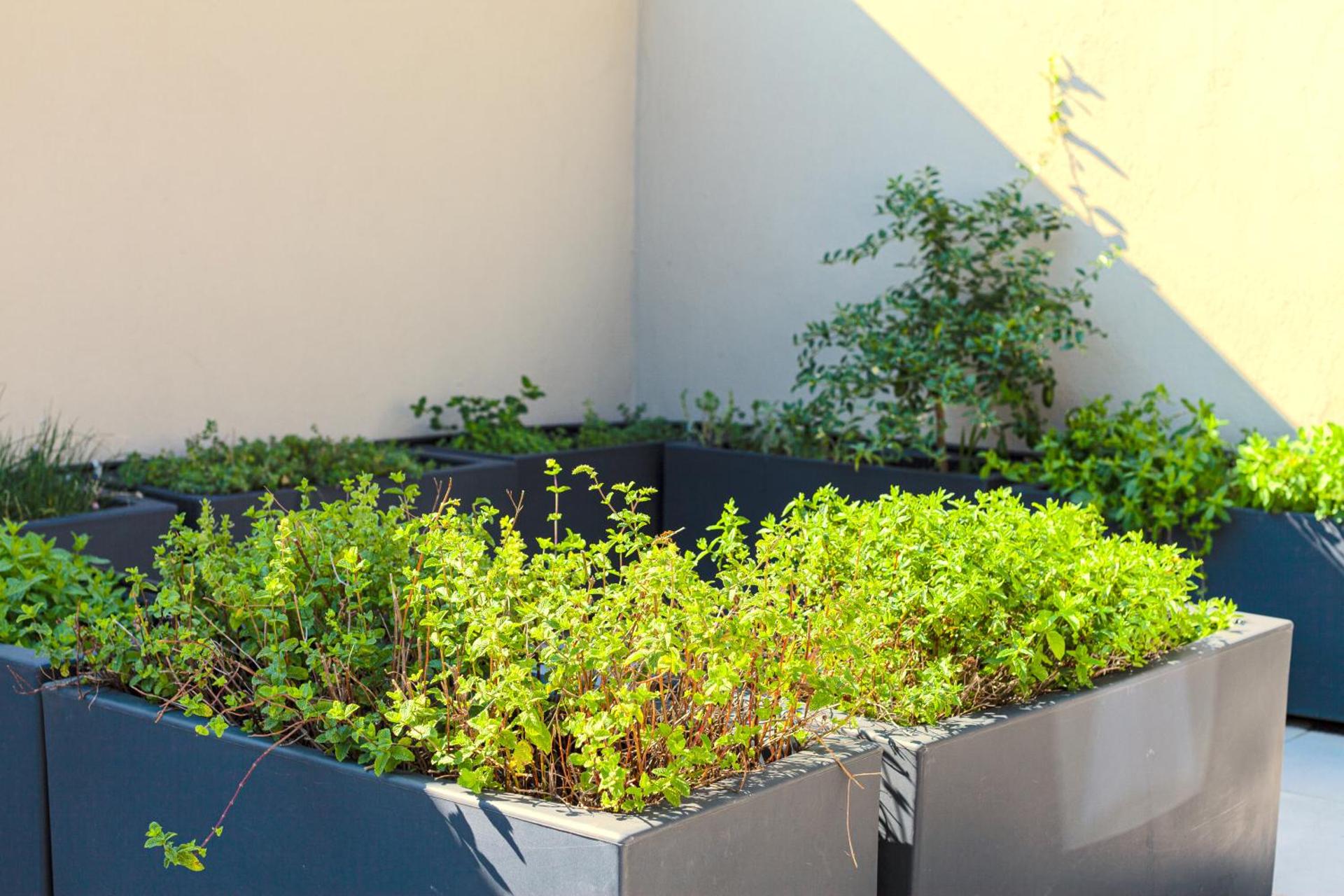 Mercure Villa Romanazzi Carducci Bari - Photo 141