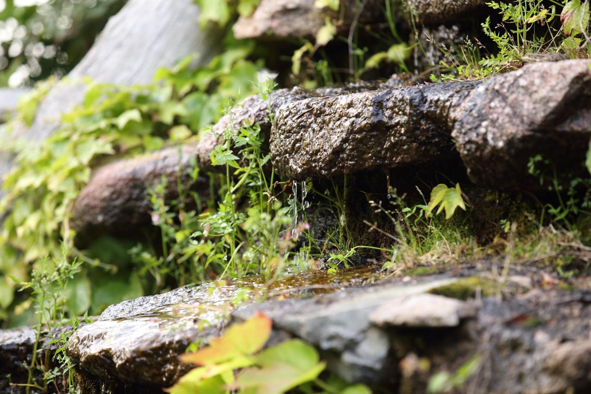 L'Agnata di De André Boutique Hotel - Photo 5