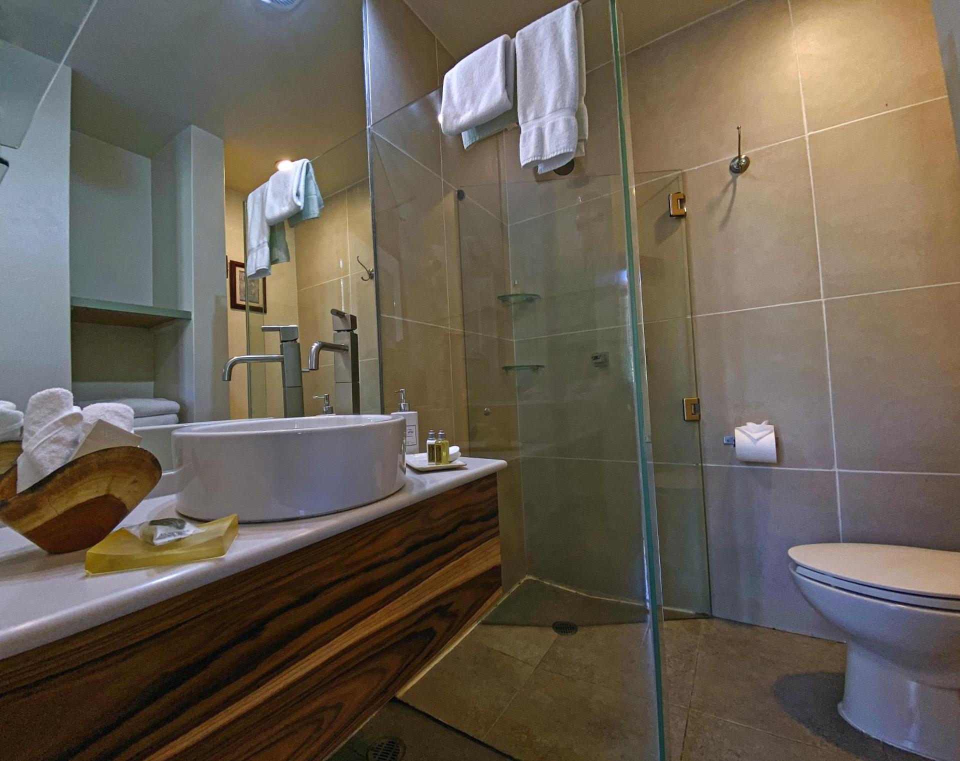Hotel Villa Condesa - Photo 12