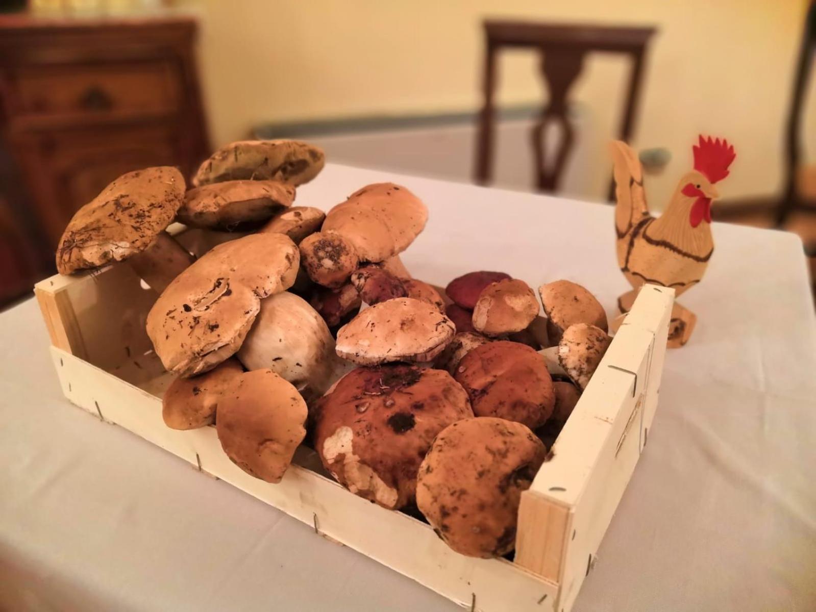 Mongalletto - Photo 83