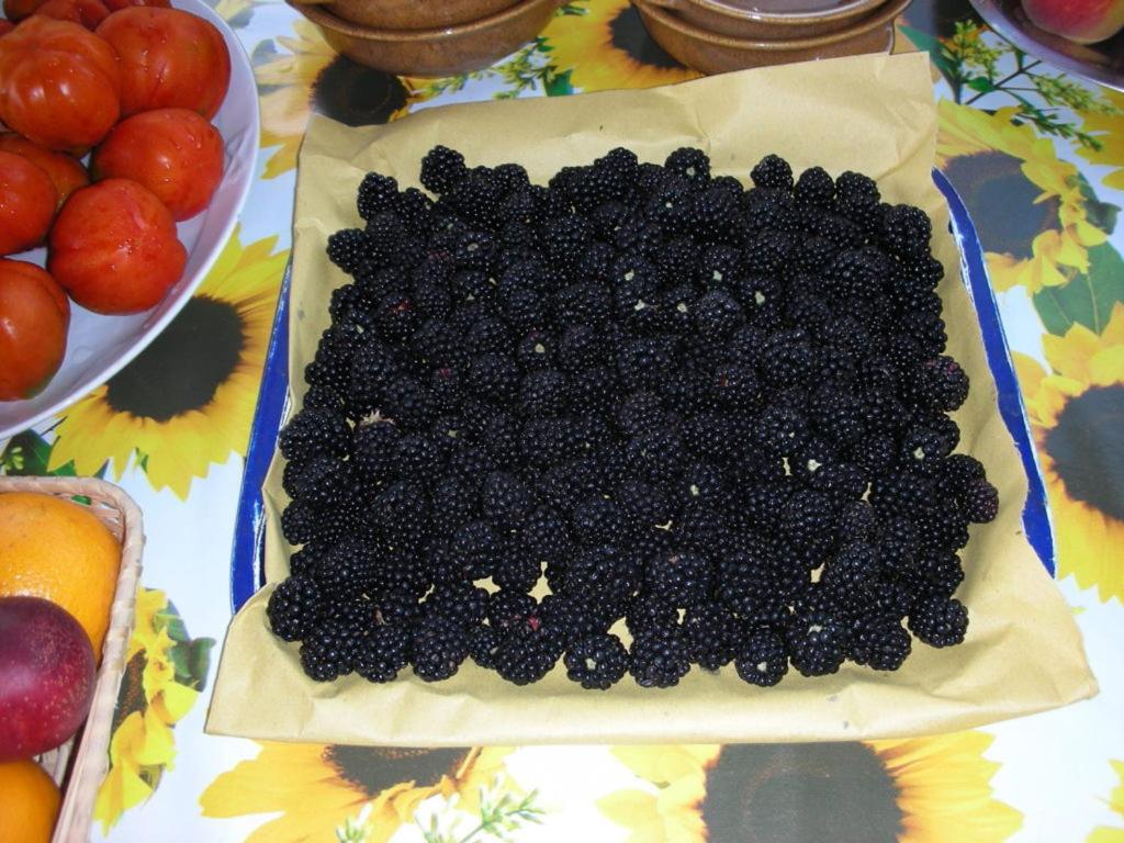 B&B Da Pio - Photo 64