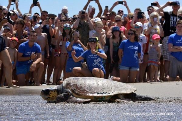 Palmyra Beach Hotel - Photo 37
