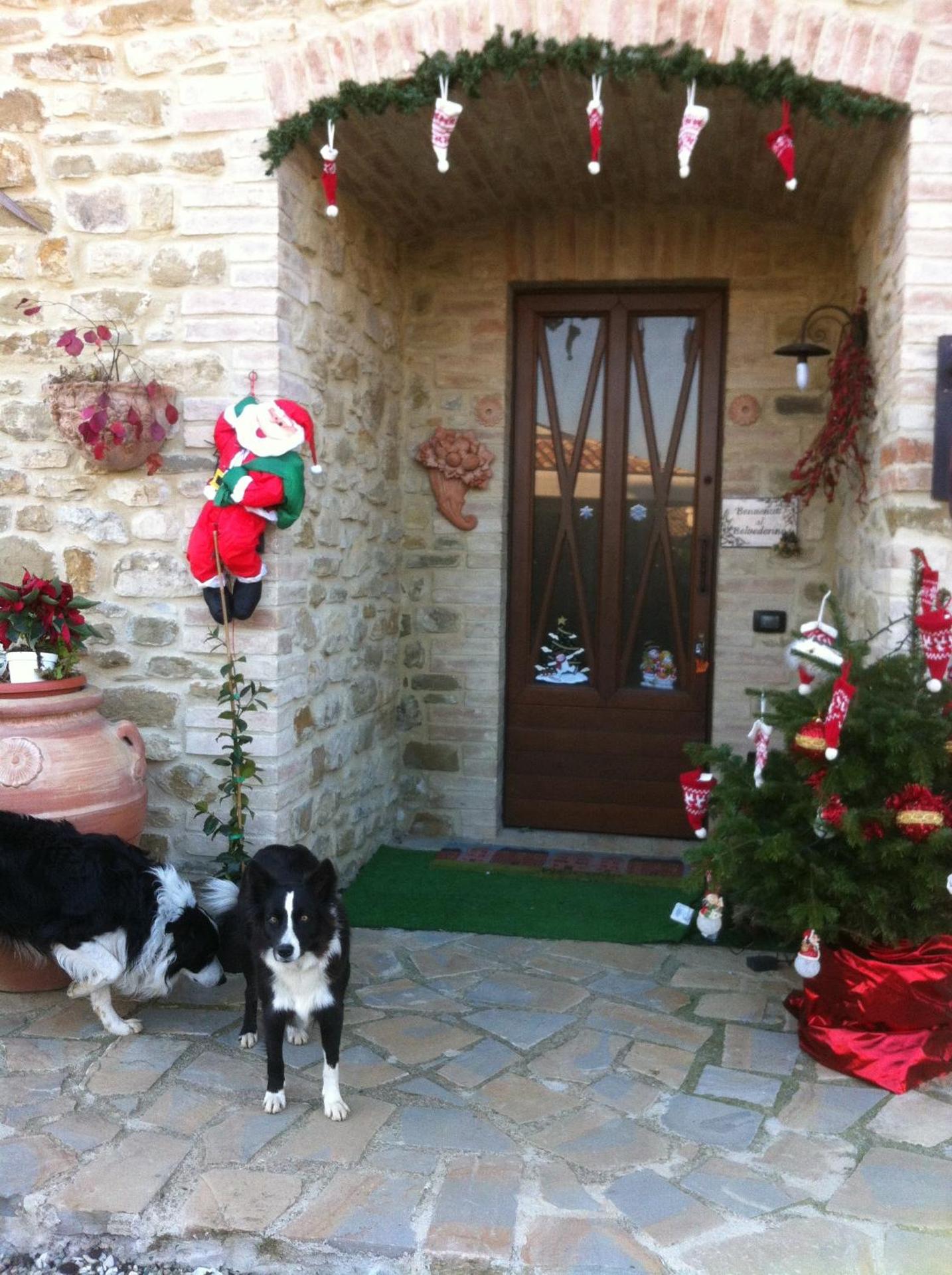 Il Belvederino - Photo 29