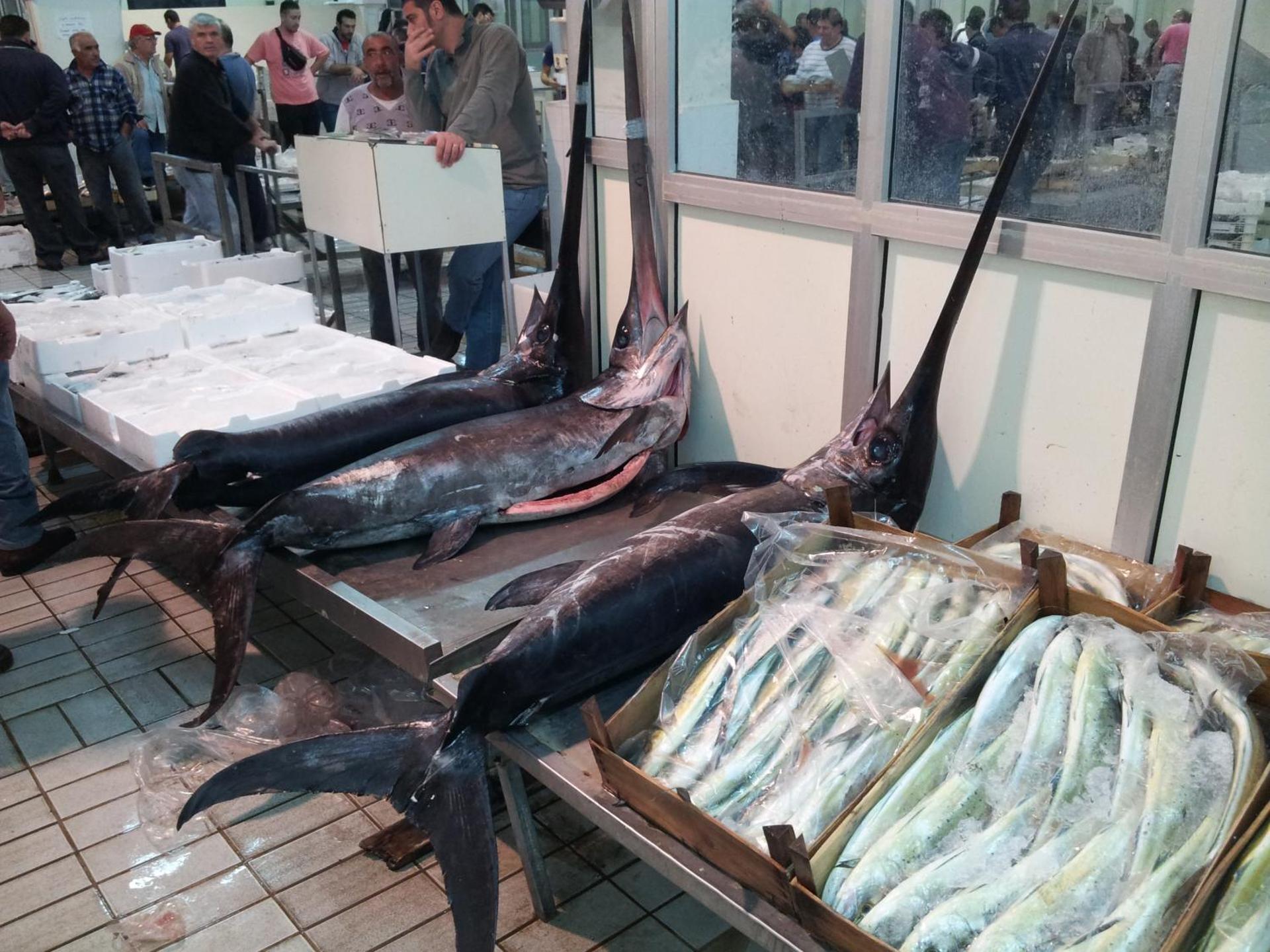 La Caletta - Photo 22