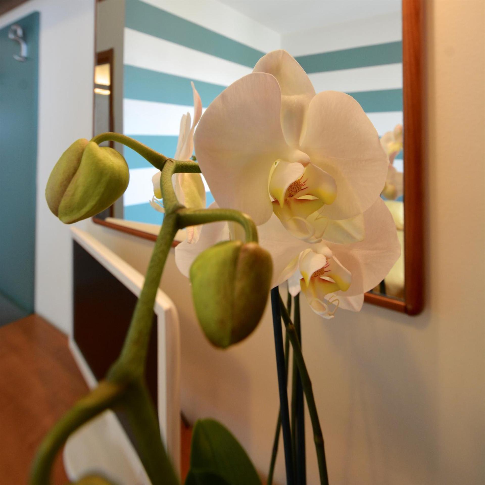 Astor Hotel - Photo 57