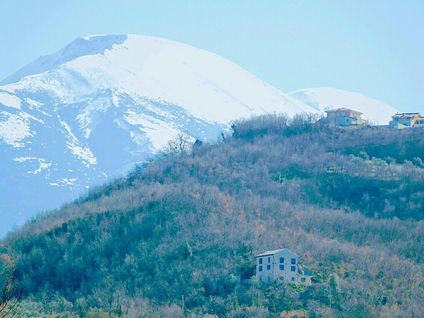 La casa dalle finestre blu - Photo 97