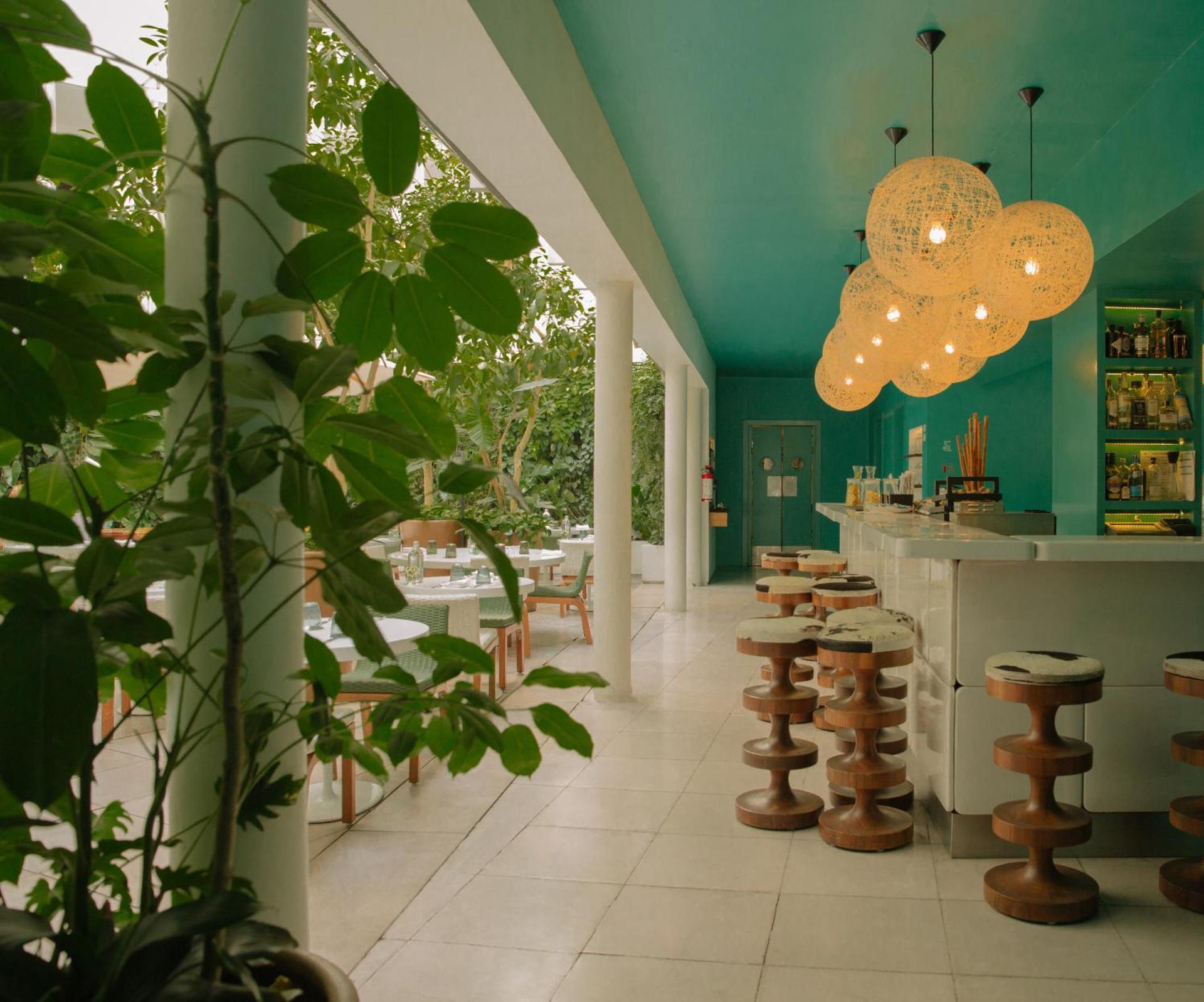 Condesa df, Mexico City, a Member of Design Hotels - Photo 49