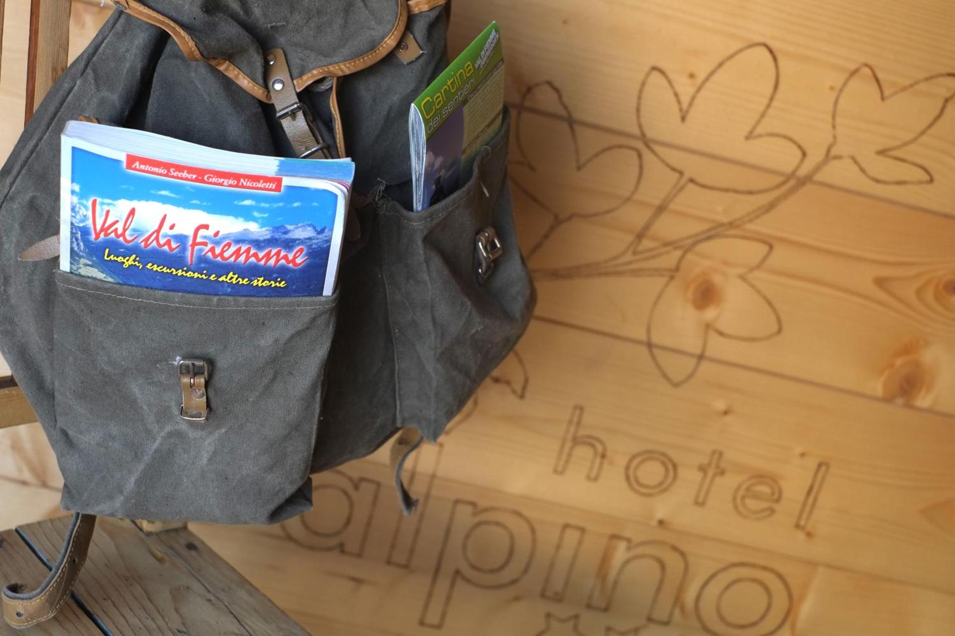 Hotel Alpino - Photo 18