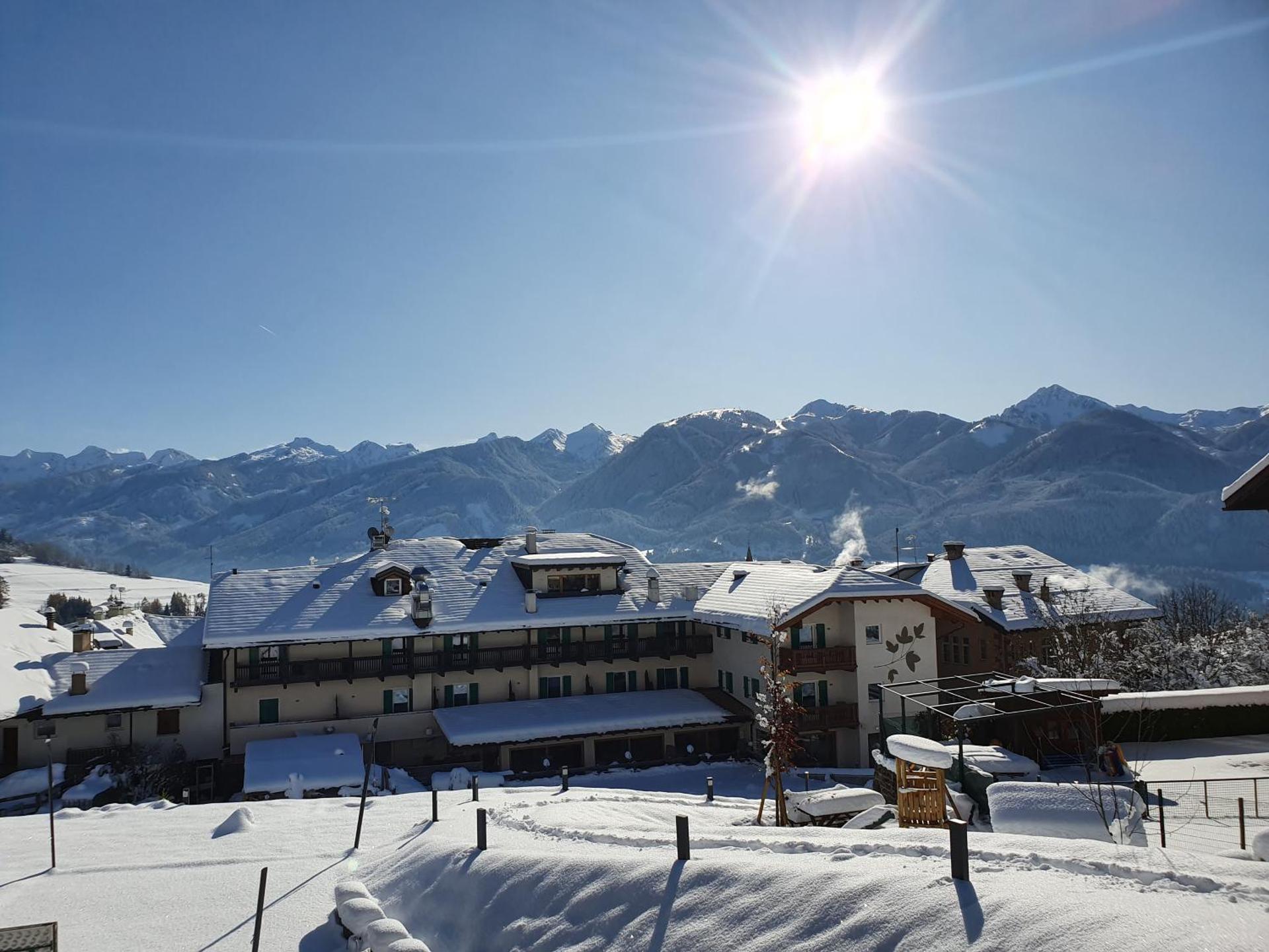 Hotel Alpino - Photo 16