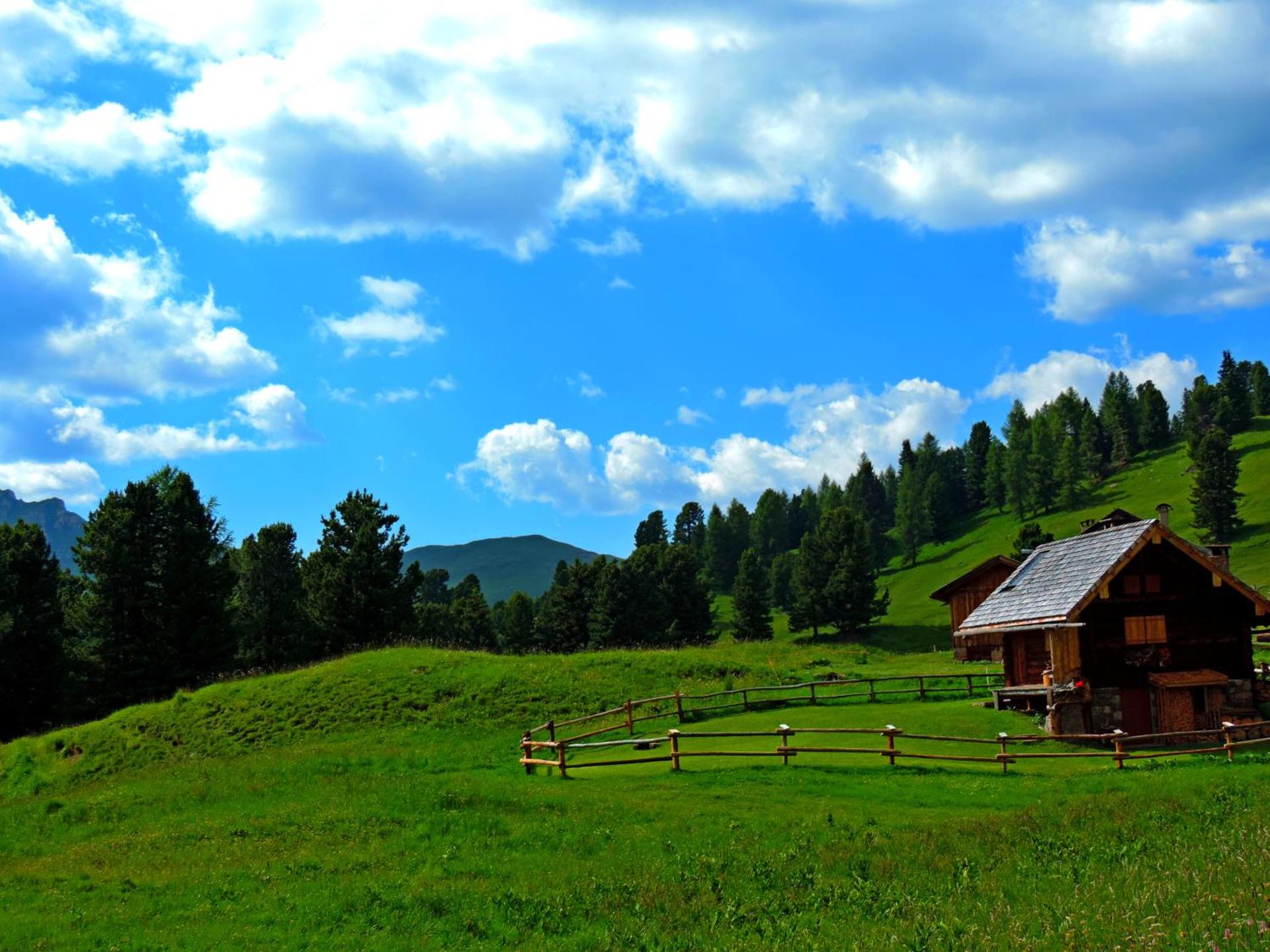 Hotel Alpino - Photo 62