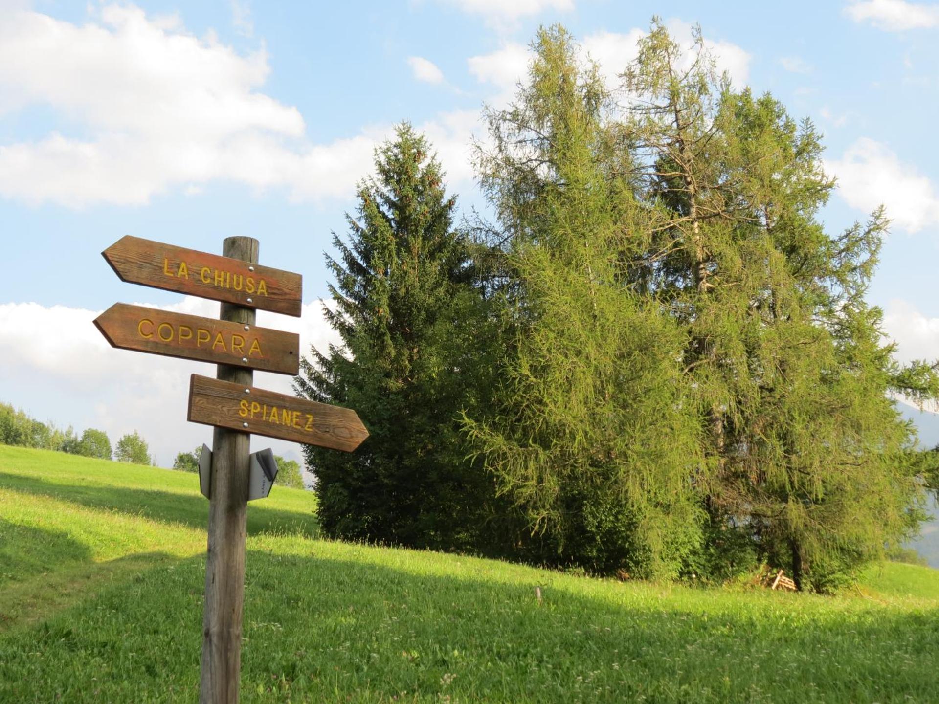 Hotel Alpino - Photo 60