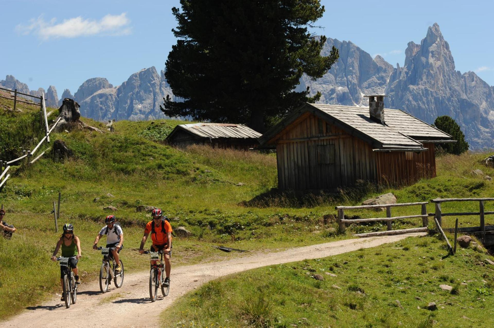 Hotel Alpino - Photo 8