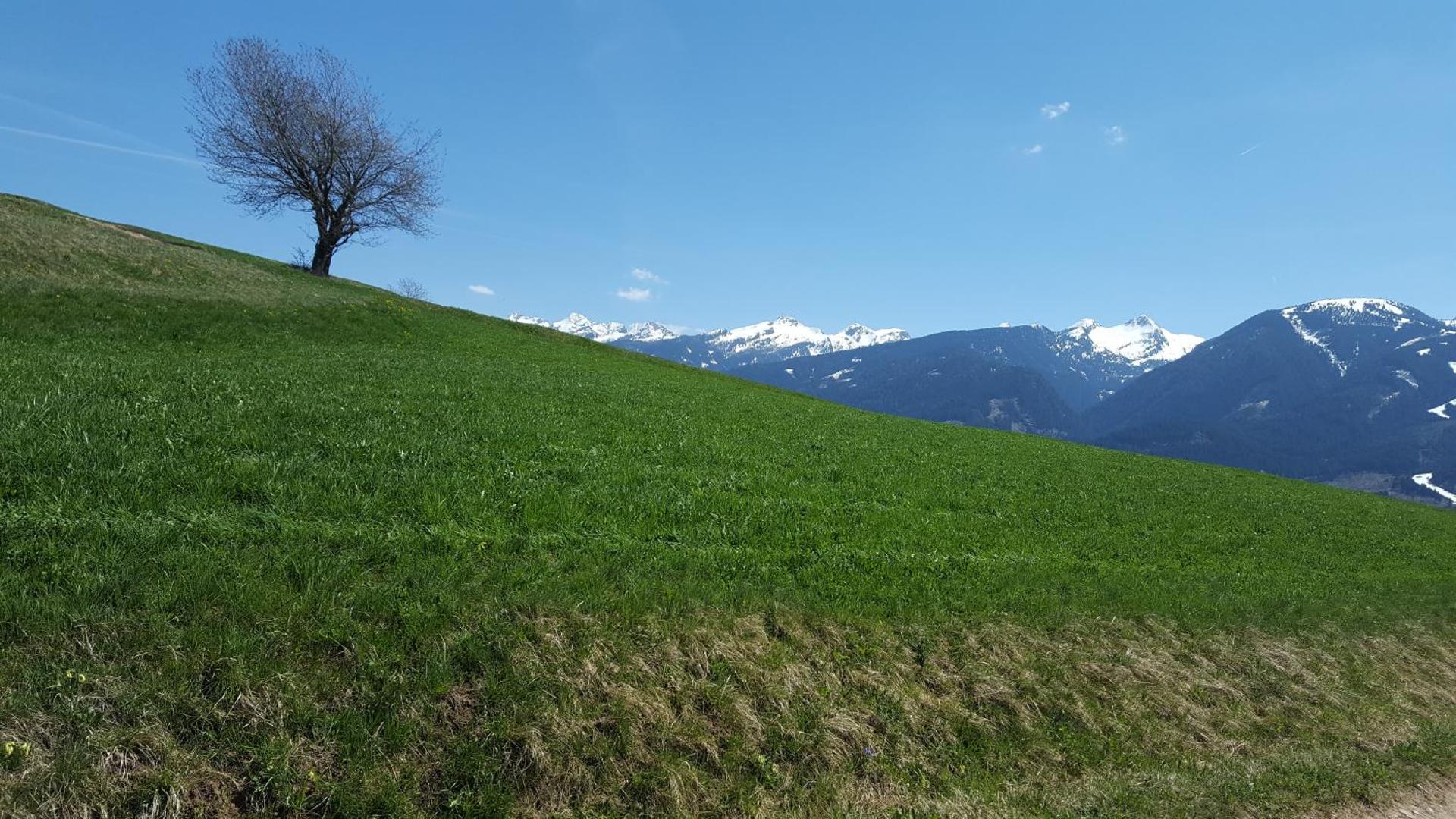 Hotel Alpino - Photo 34