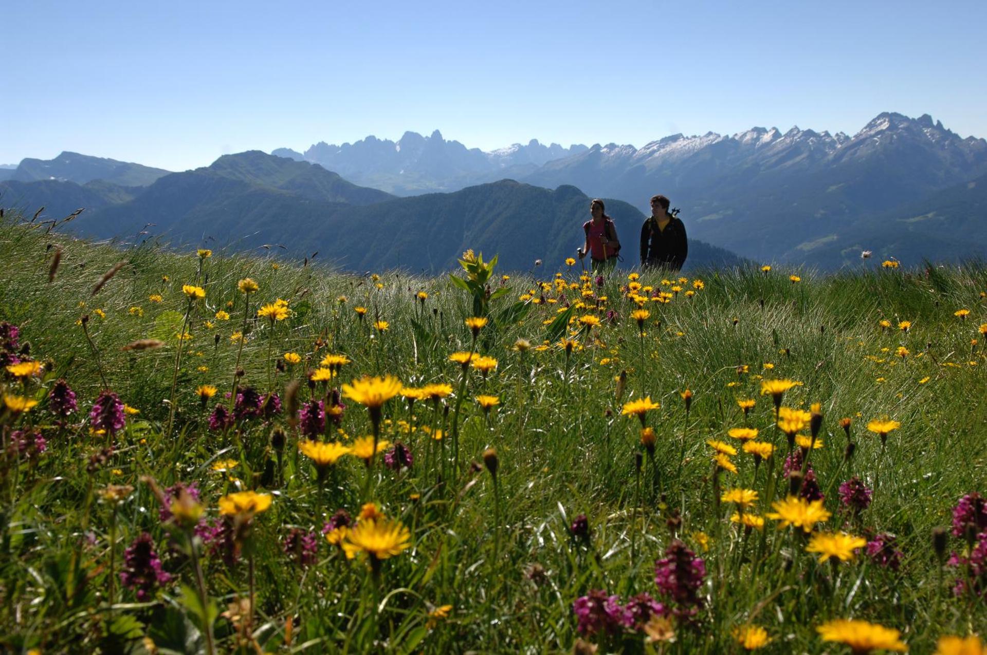 Hotel Alpino - Photo 25