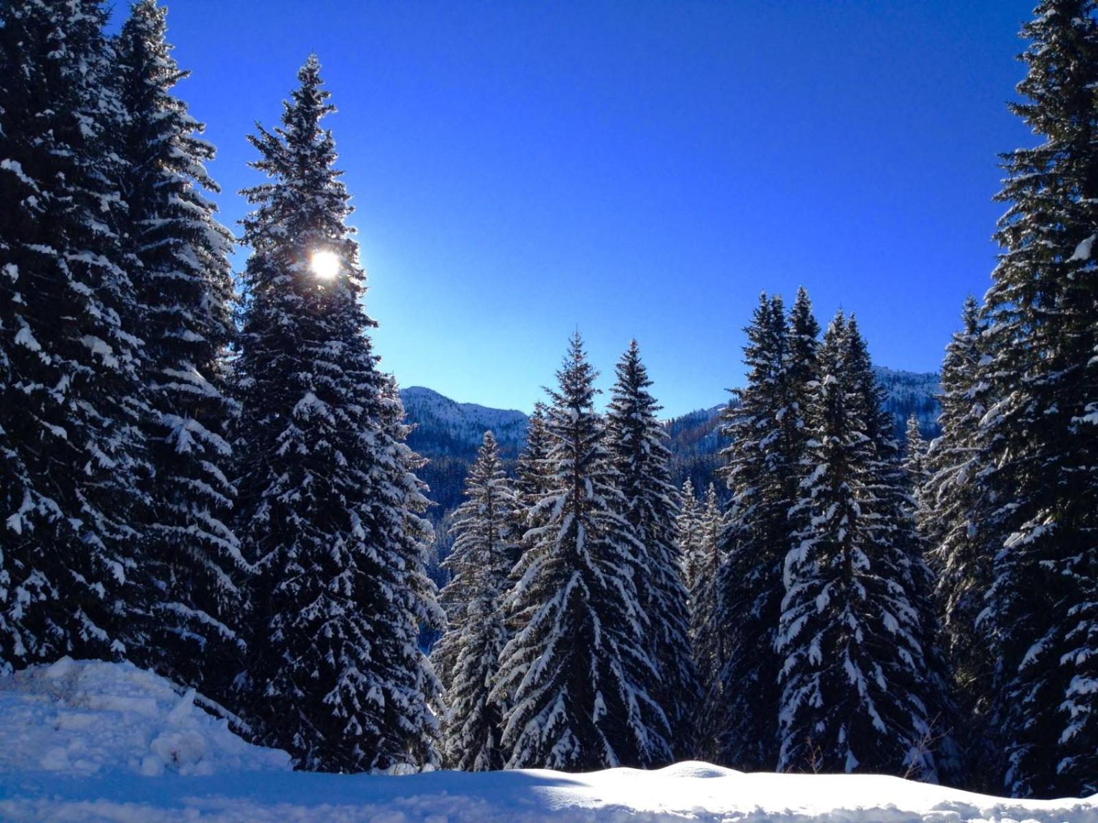 Hotel Alpino - Photo 37