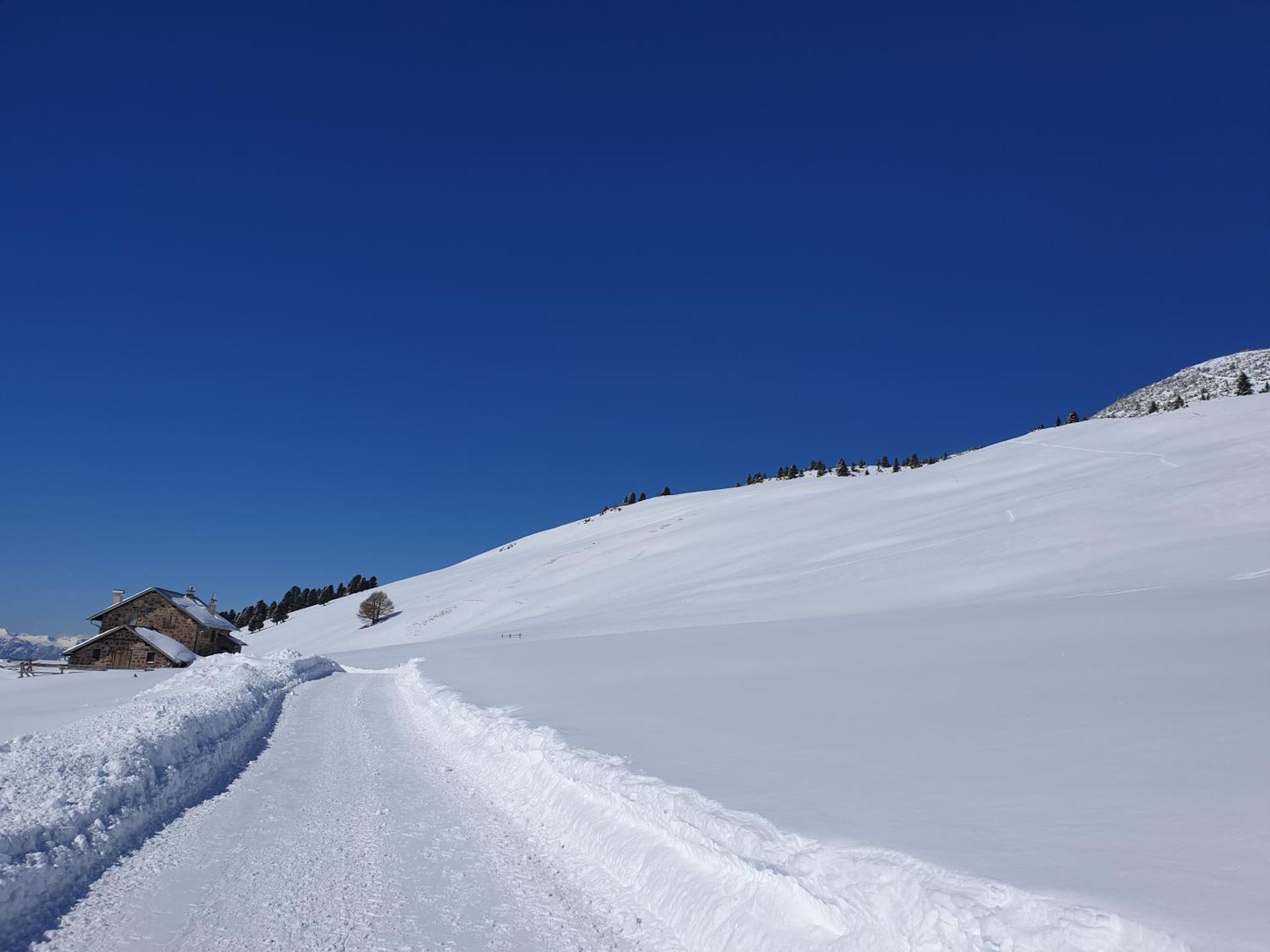 Hotel Alpino - Photo 5