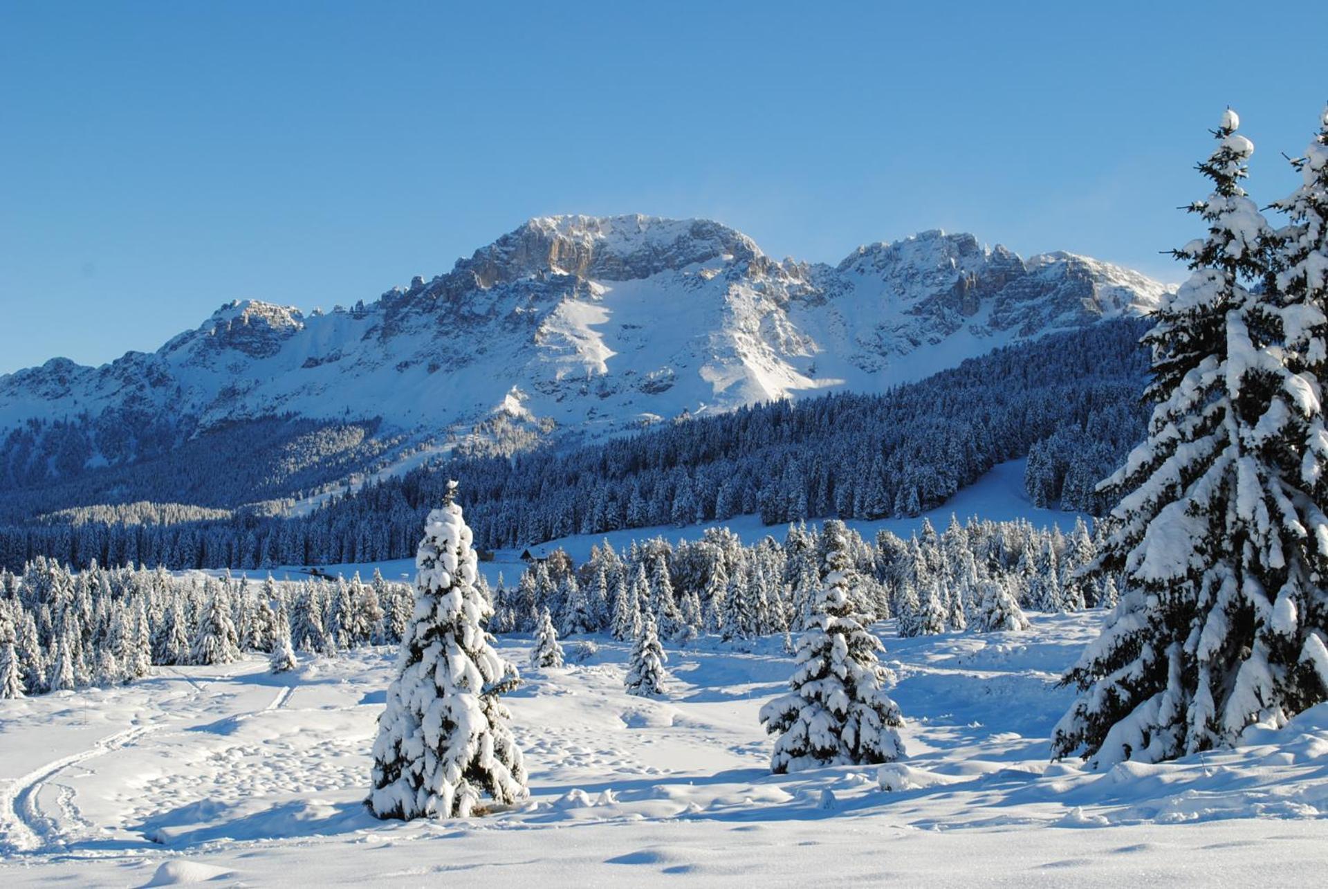 Hotel Alpino - Photo 7