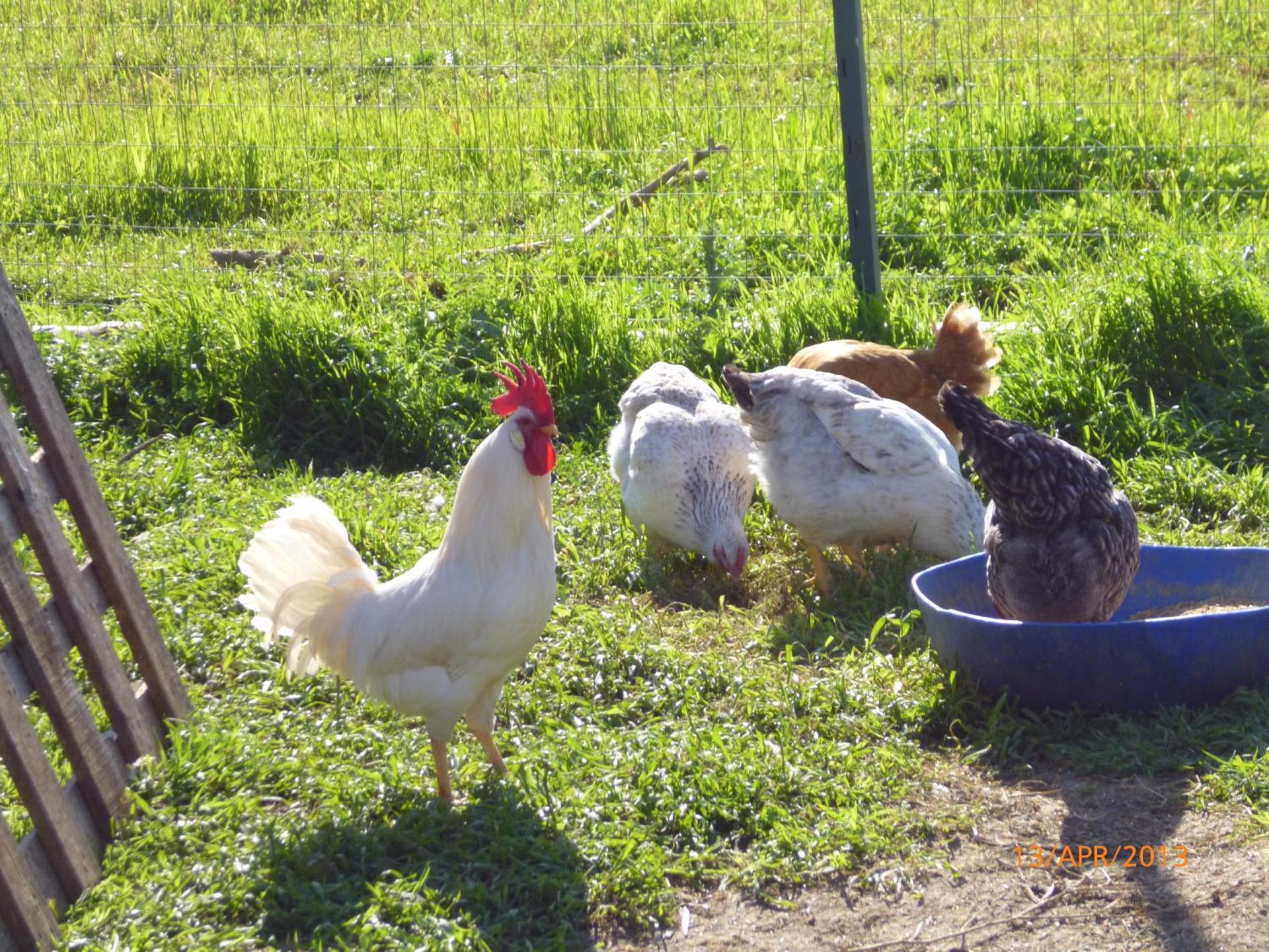 Agriturismo Cuile de Molino - Photo 61