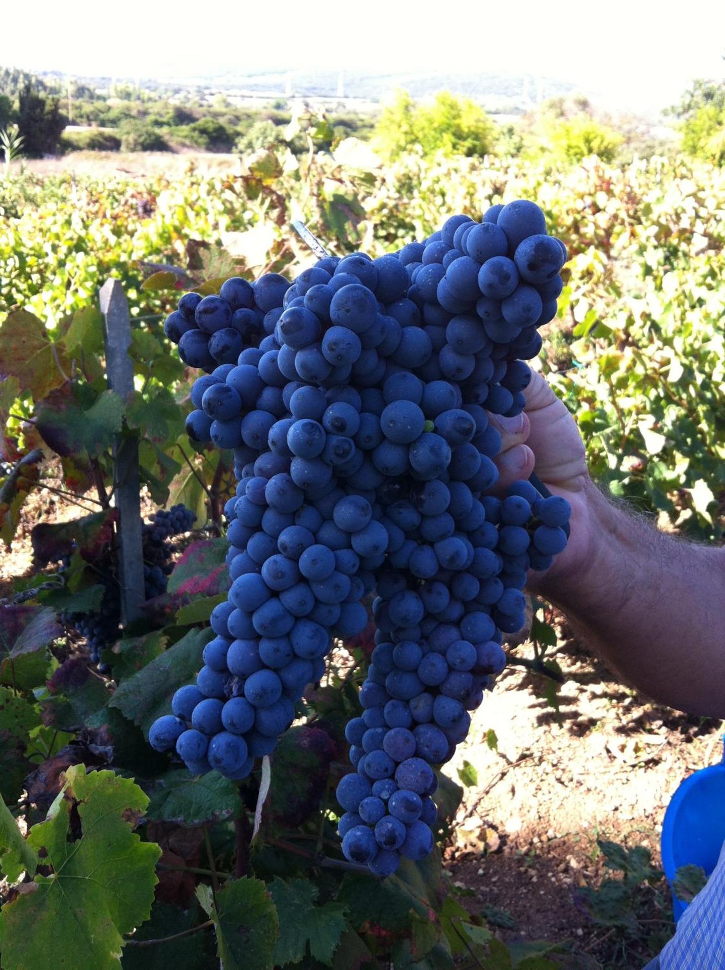 Agriturismo Cuile de Molino - Photo 68