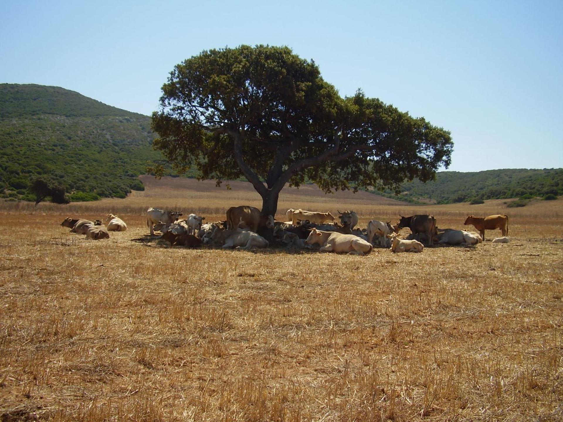 Agriturismo Cuile de Molino - Photo 62
