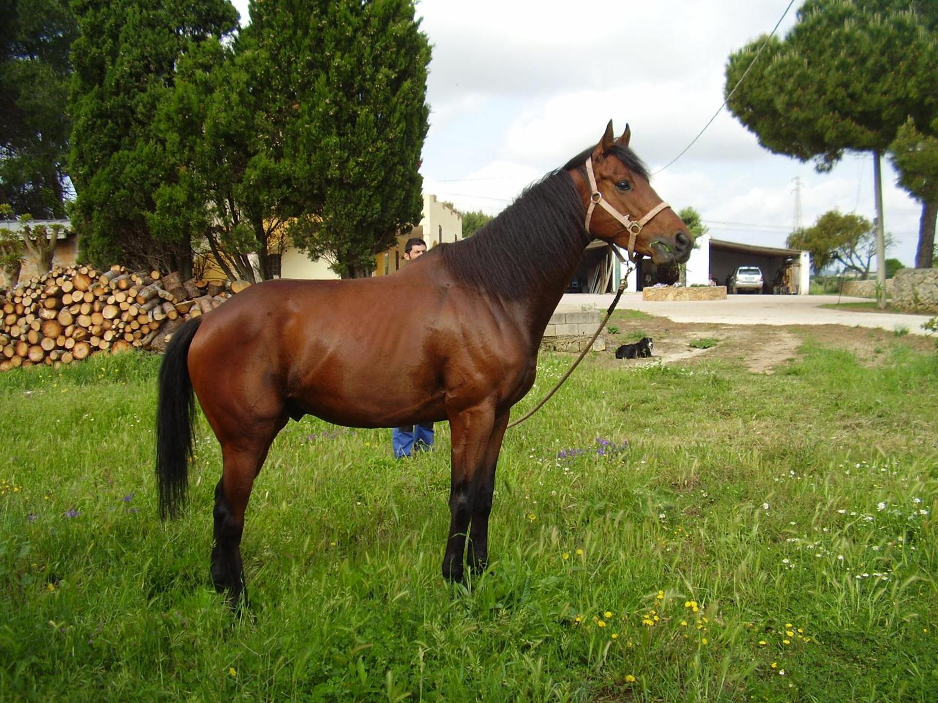 Agriturismo Cuile de Molino - Photo 48