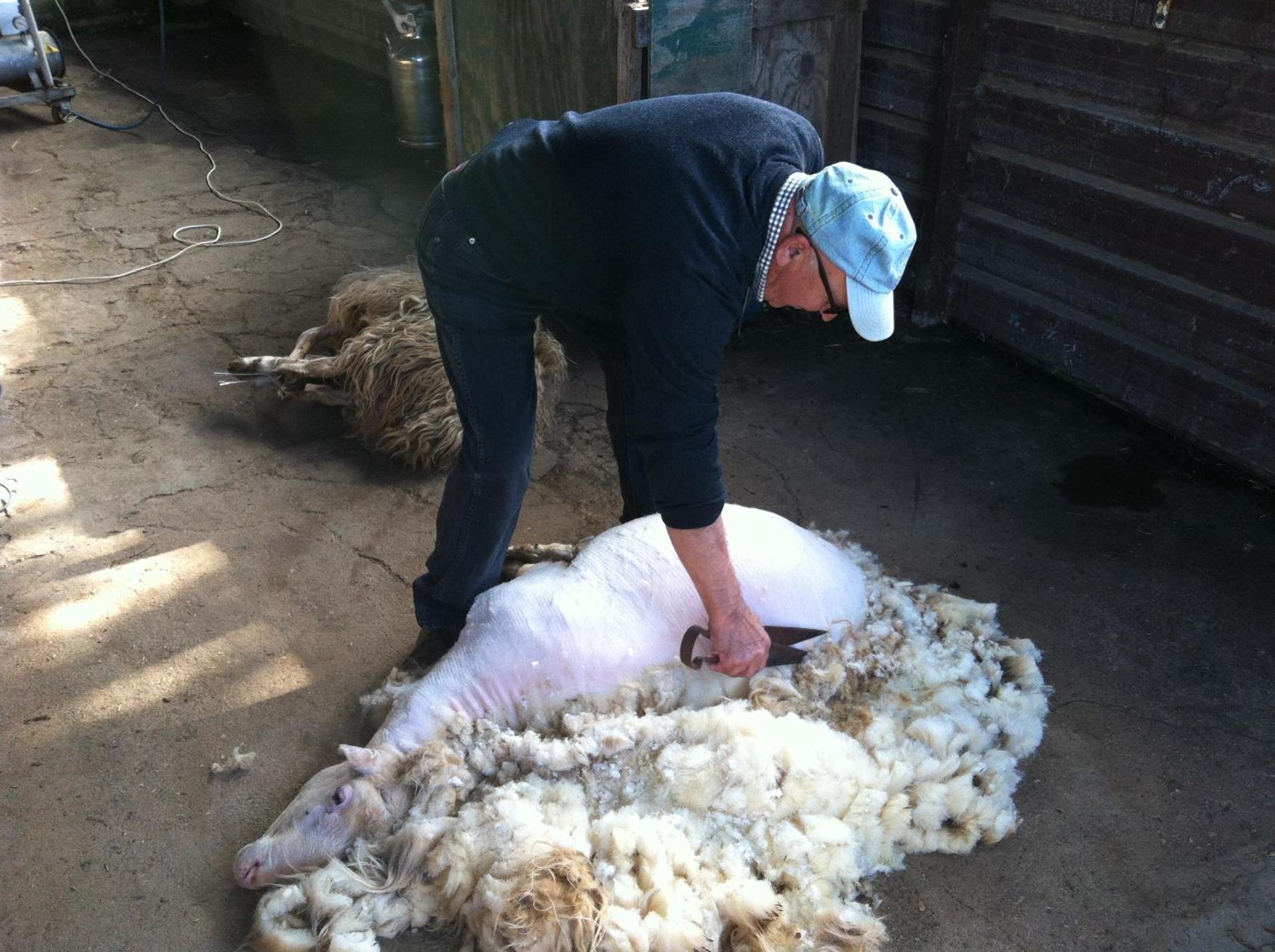 Agriturismo Cuile de Molino - Photo 81