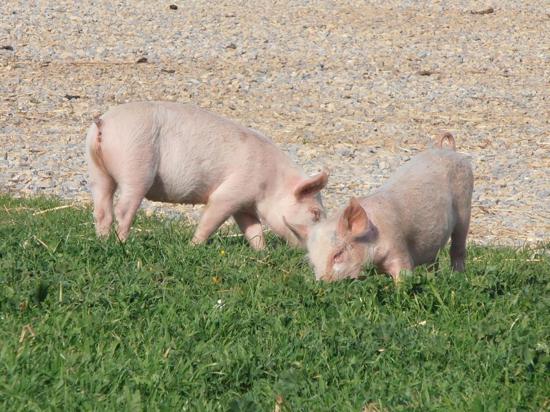 Agriturismo Cuile de Molino - Photo 65